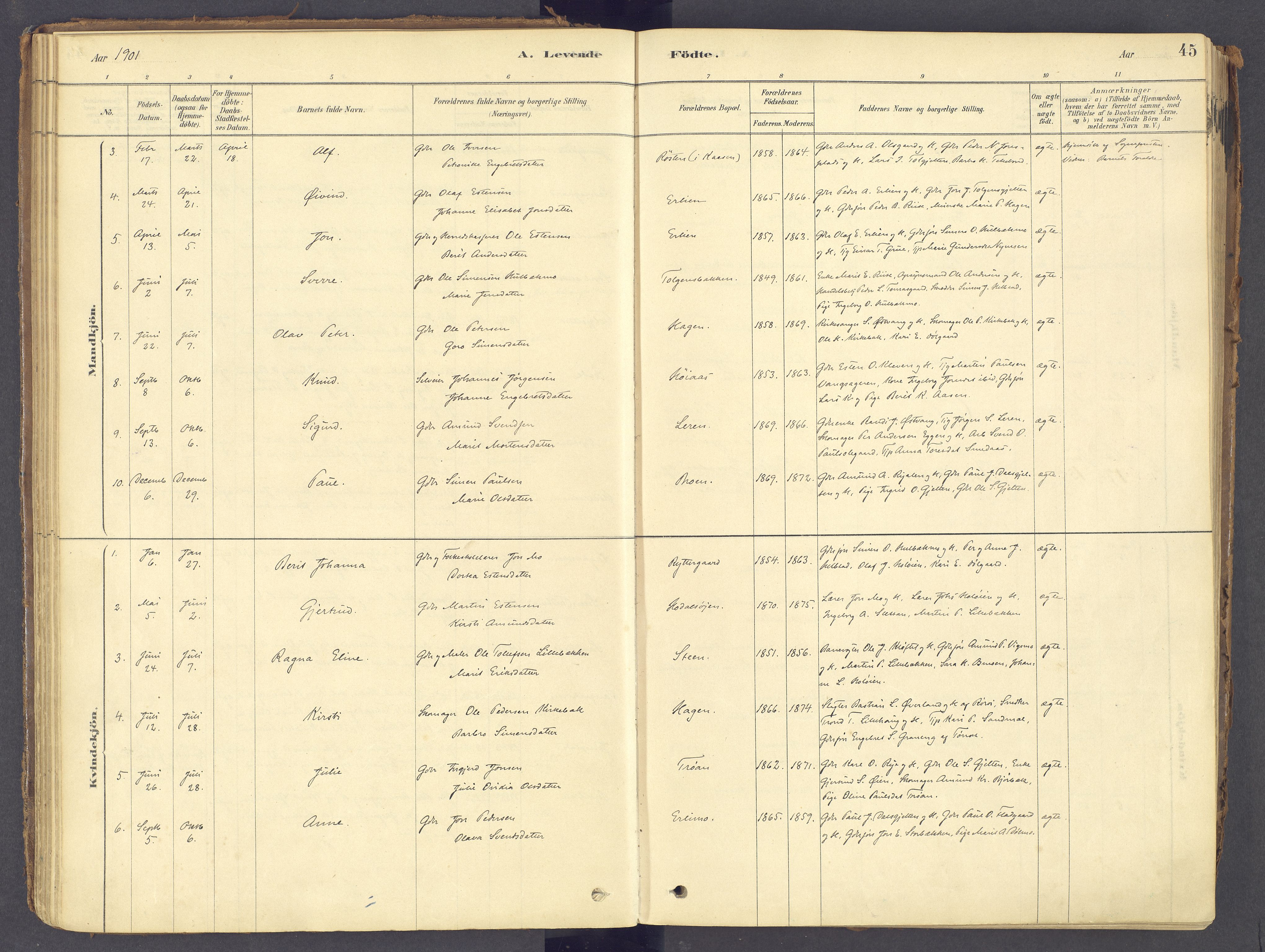 Tolga prestekontor, AV/SAH-PREST-062/K/L0011: Parish register (official) no. 11, 1877-1920, p. 45