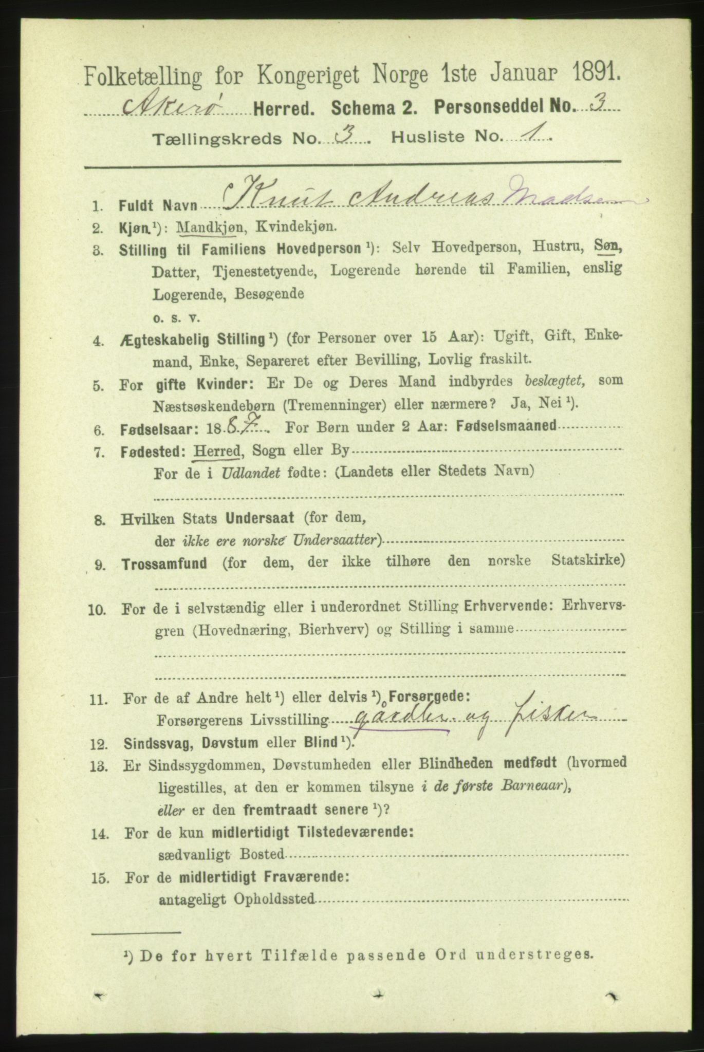 RA, 1891 census for 1545 Aukra, 1891, p. 1306