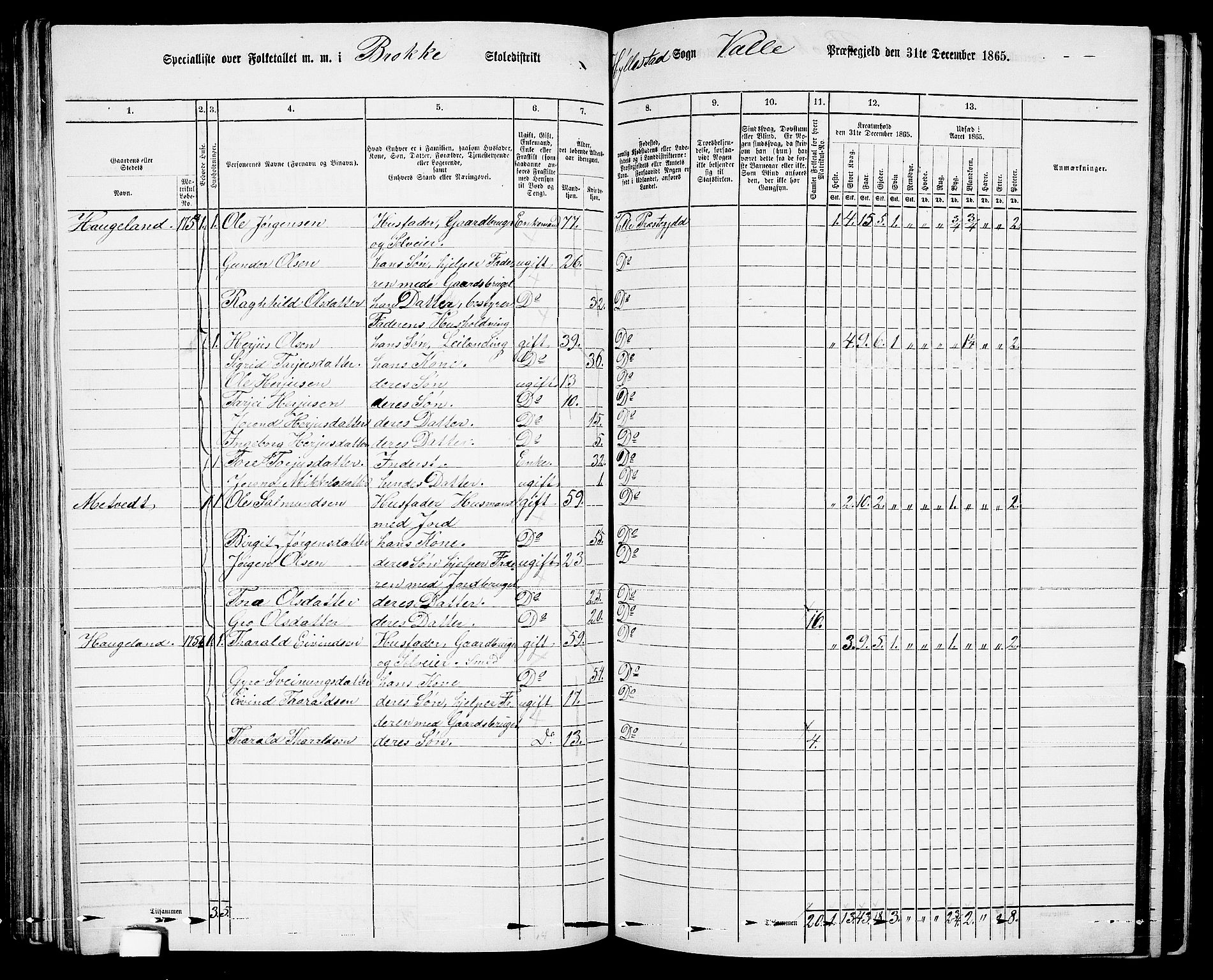 RA, 1865 census for Valle, 1865, p. 103