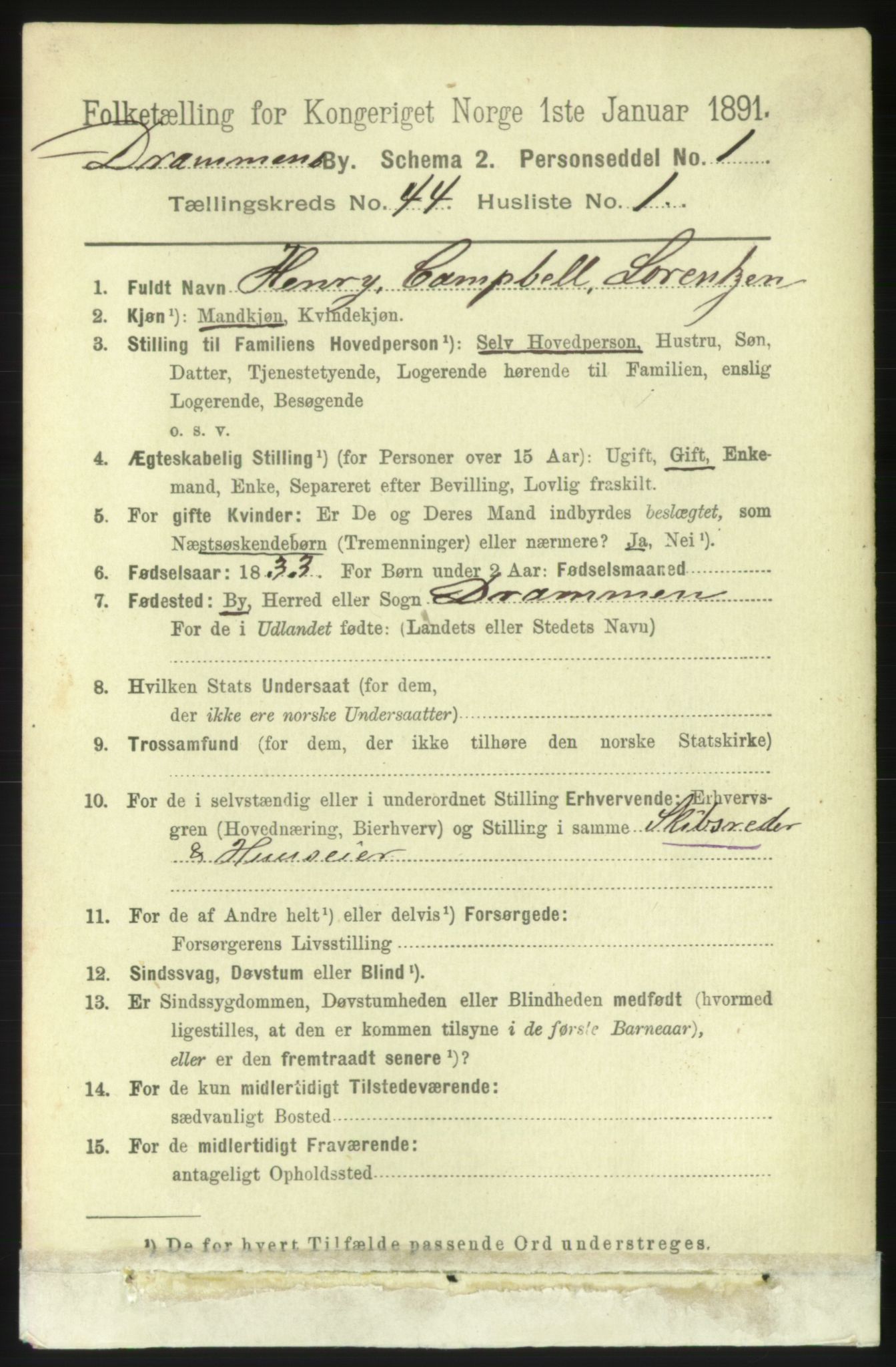 RA, 1891 census for 0602 Drammen, 1891, p. 25396