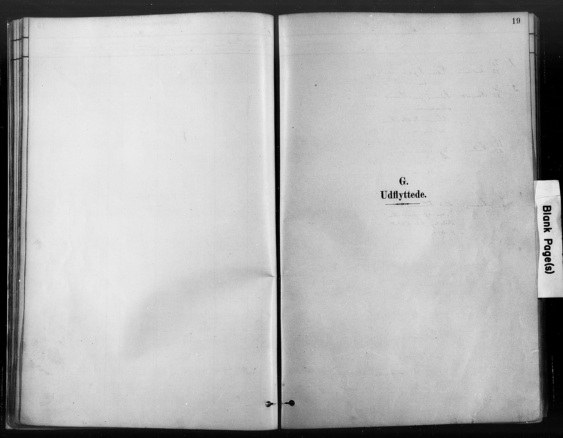 Risør sokneprestkontor, SAK/1111-0035/F/Fa/L0006: Parish register (official) no. A 6, 1883-1908, p. 19