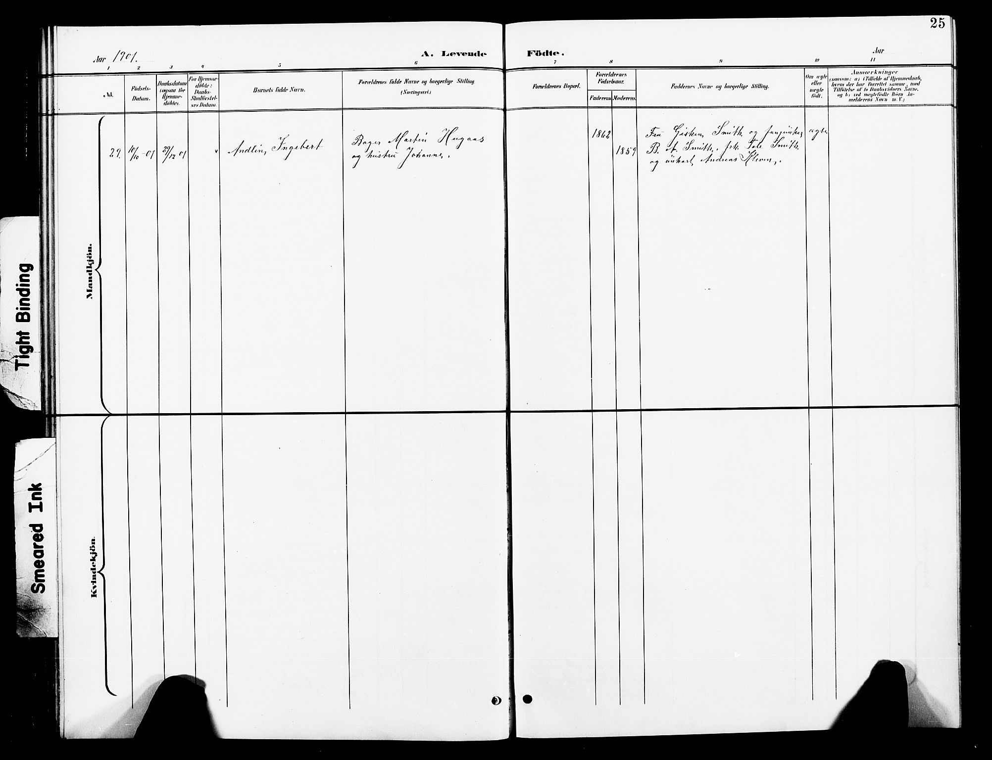 Ministerialprotokoller, klokkerbøker og fødselsregistre - Nord-Trøndelag, SAT/A-1458/739/L0375: Parish register (copy) no. 739C03, 1898-1908, p. 25