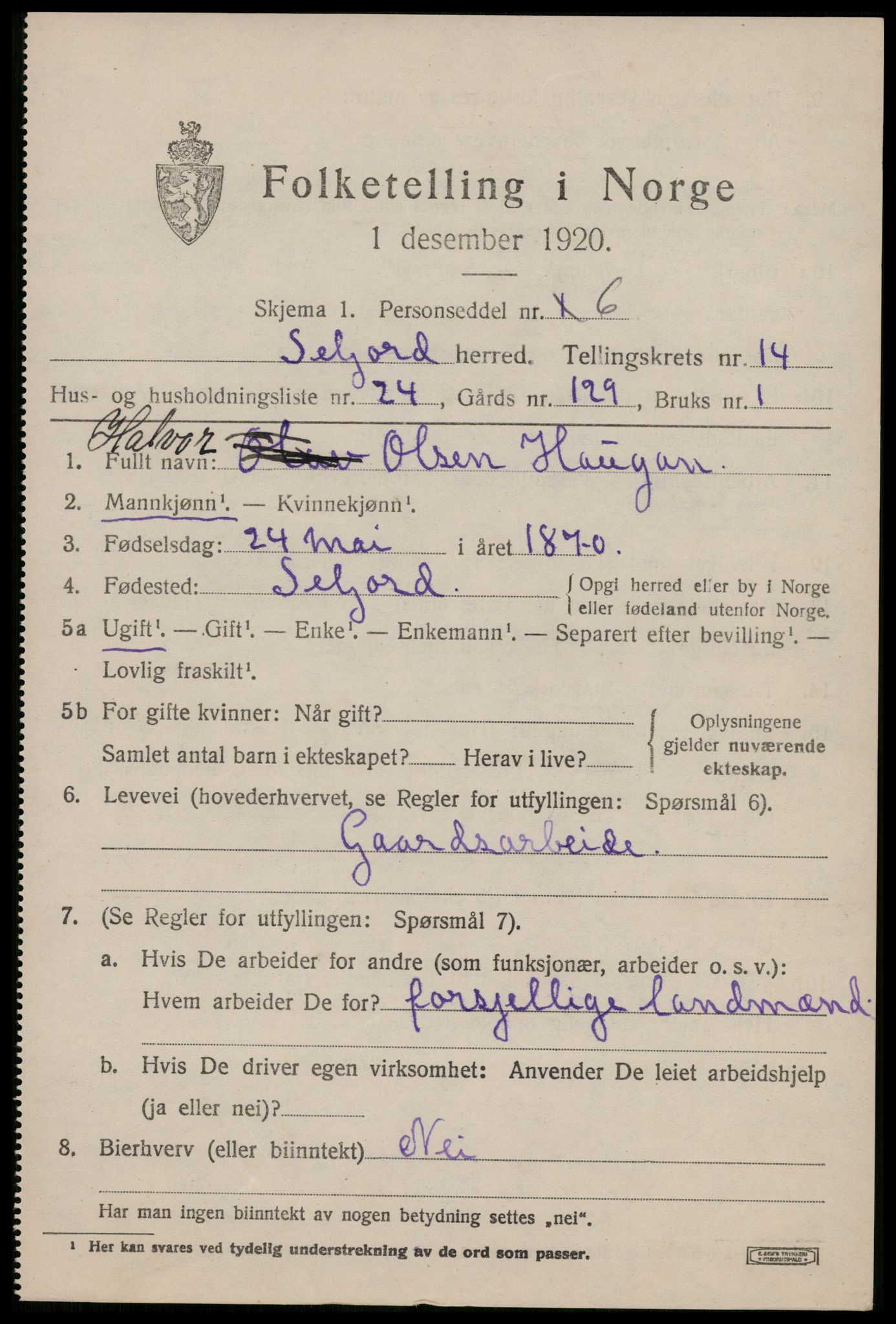 SAKO, 1920 census for Seljord, 1920, p. 6426