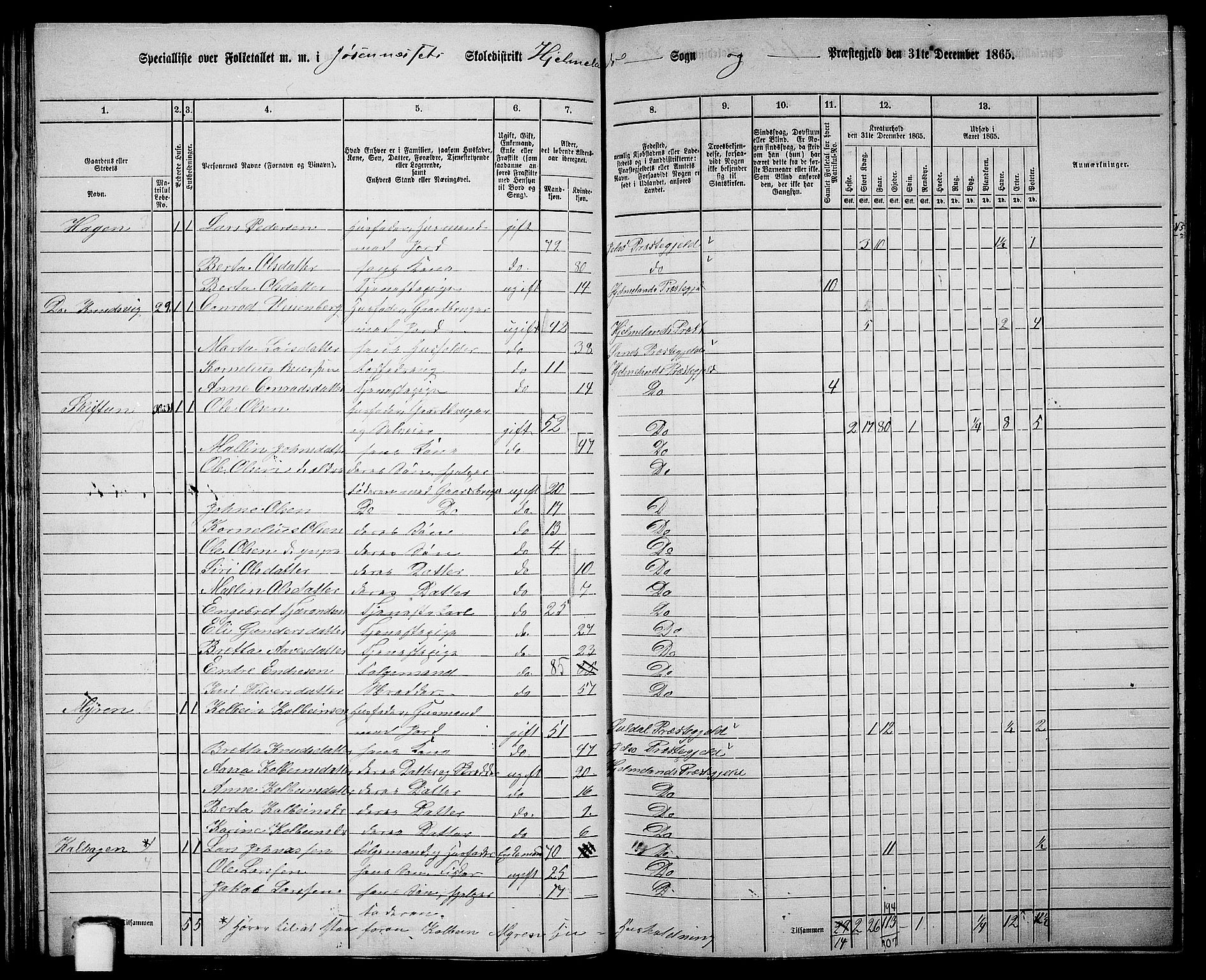 RA, 1865 census for Hjelmeland, 1865, p. 36