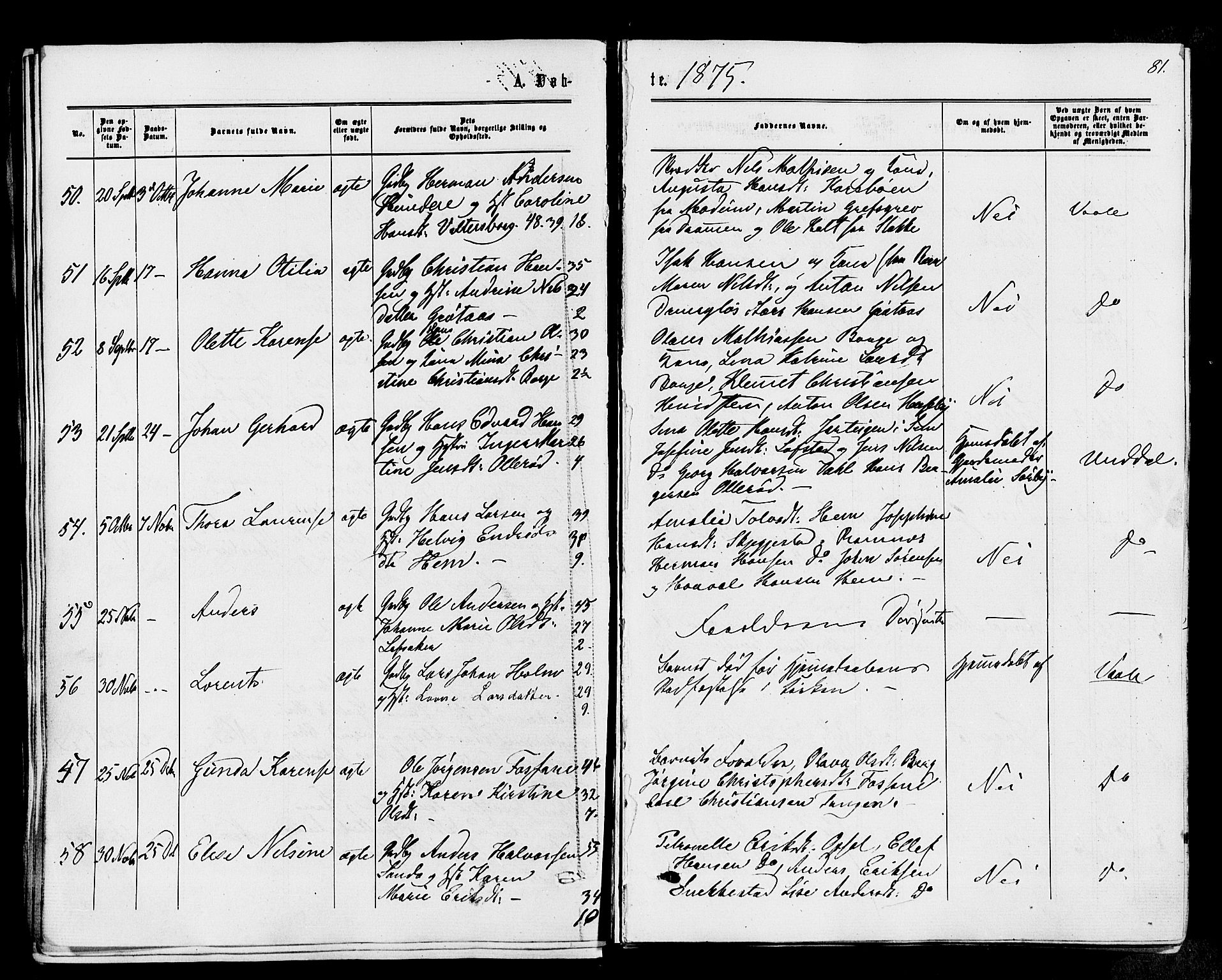 Våle kirkebøker, SAKO/A-334/F/Fa/L0010: Parish register (official) no. I 10, 1861-1877, p. 81