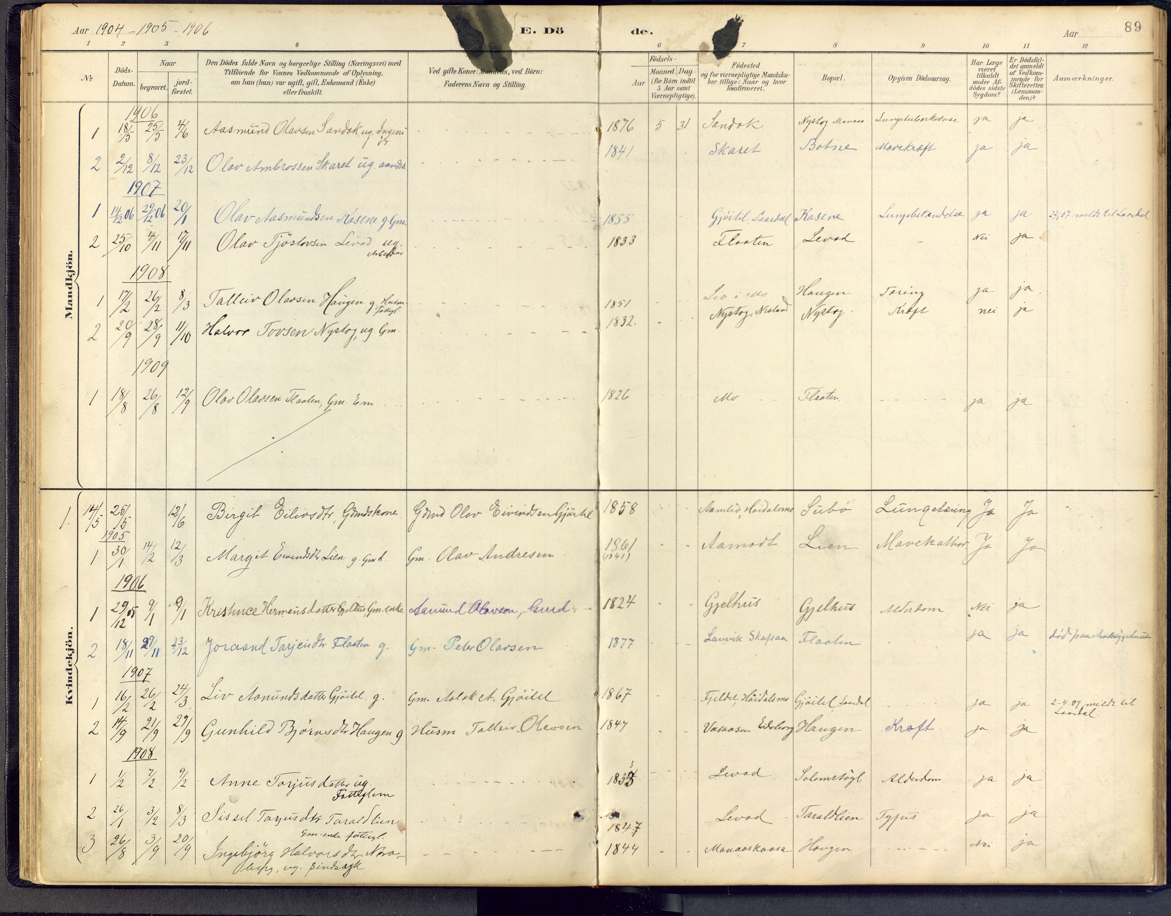 Vinje kirkebøker, AV/SAKO-A-312/F/Fb/L0002: Parish register (official) no. II 2, 1887-1925, p. 89