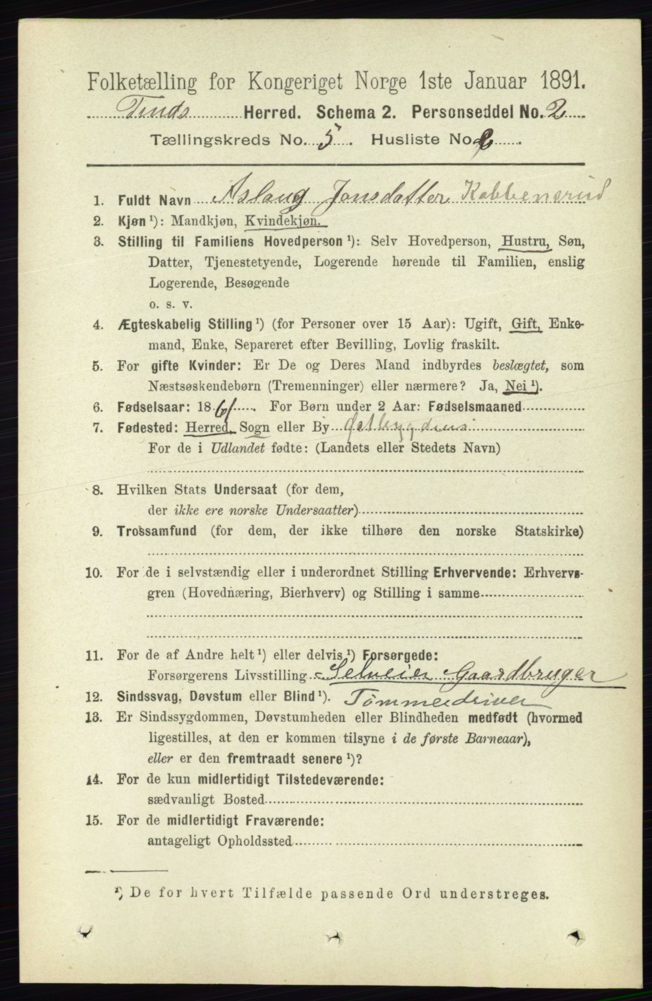 RA, 1891 census for 0826 Tinn, 1891, p. 1006