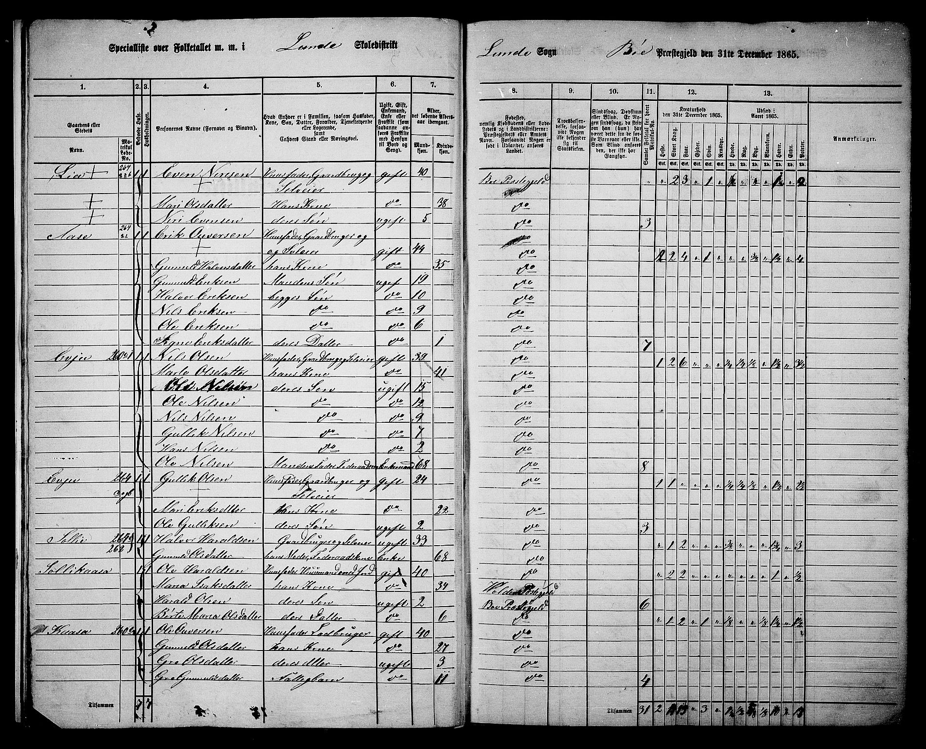 RA, 1865 census for Bø, 1865, p. 17