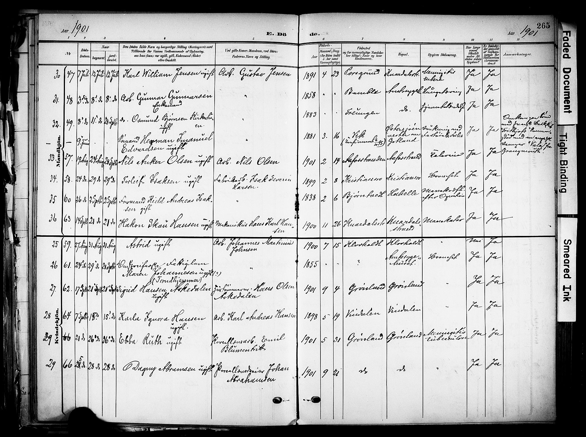 Solum kirkebøker, SAKO/A-306/F/Fa/L0011: Parish register (official) no. I 11, 1898-1909, p. 265