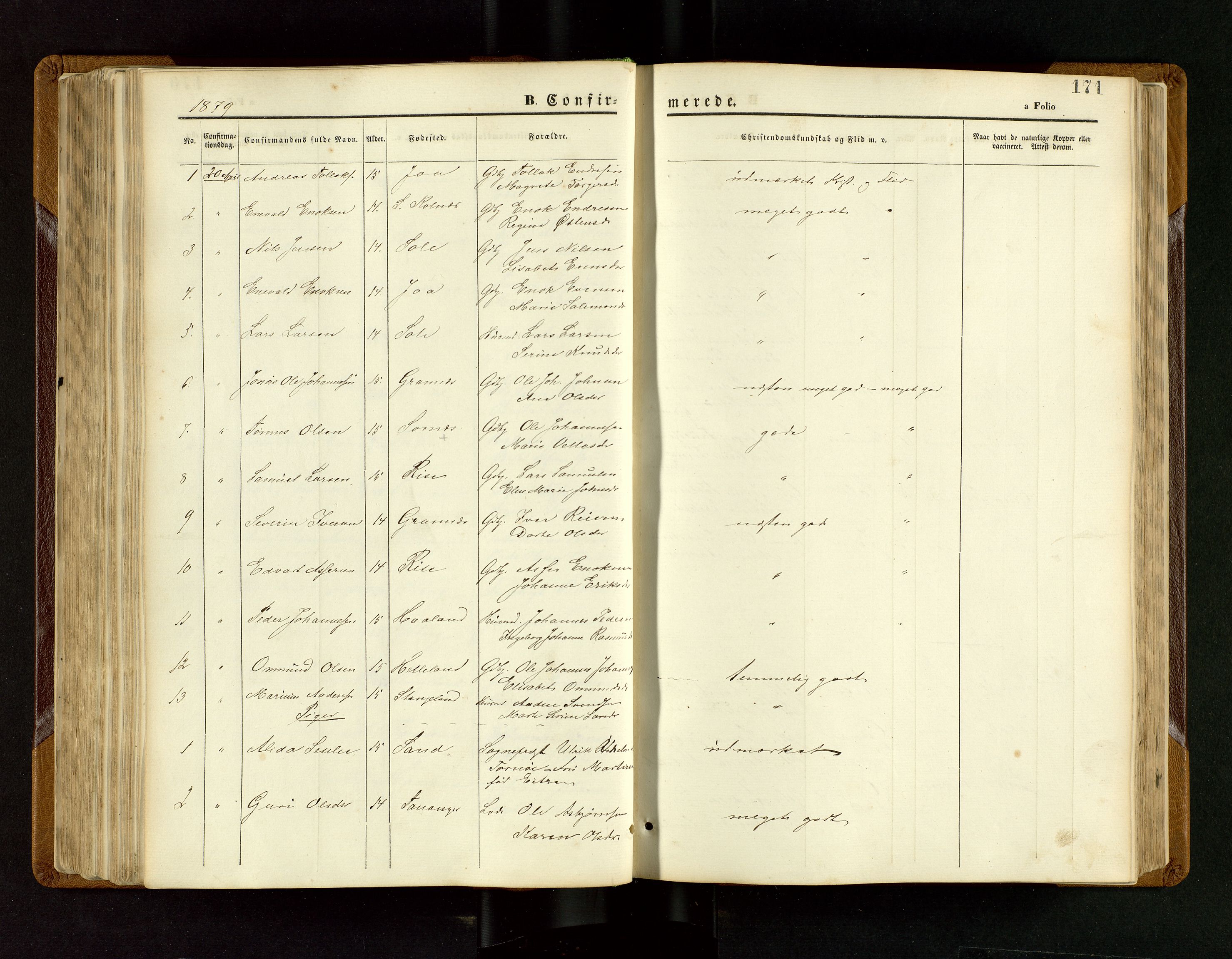 Håland sokneprestkontor, SAST/A-101802/001/30BB/L0003: Parish register (copy) no. B 3, 1873-1893, p. 171