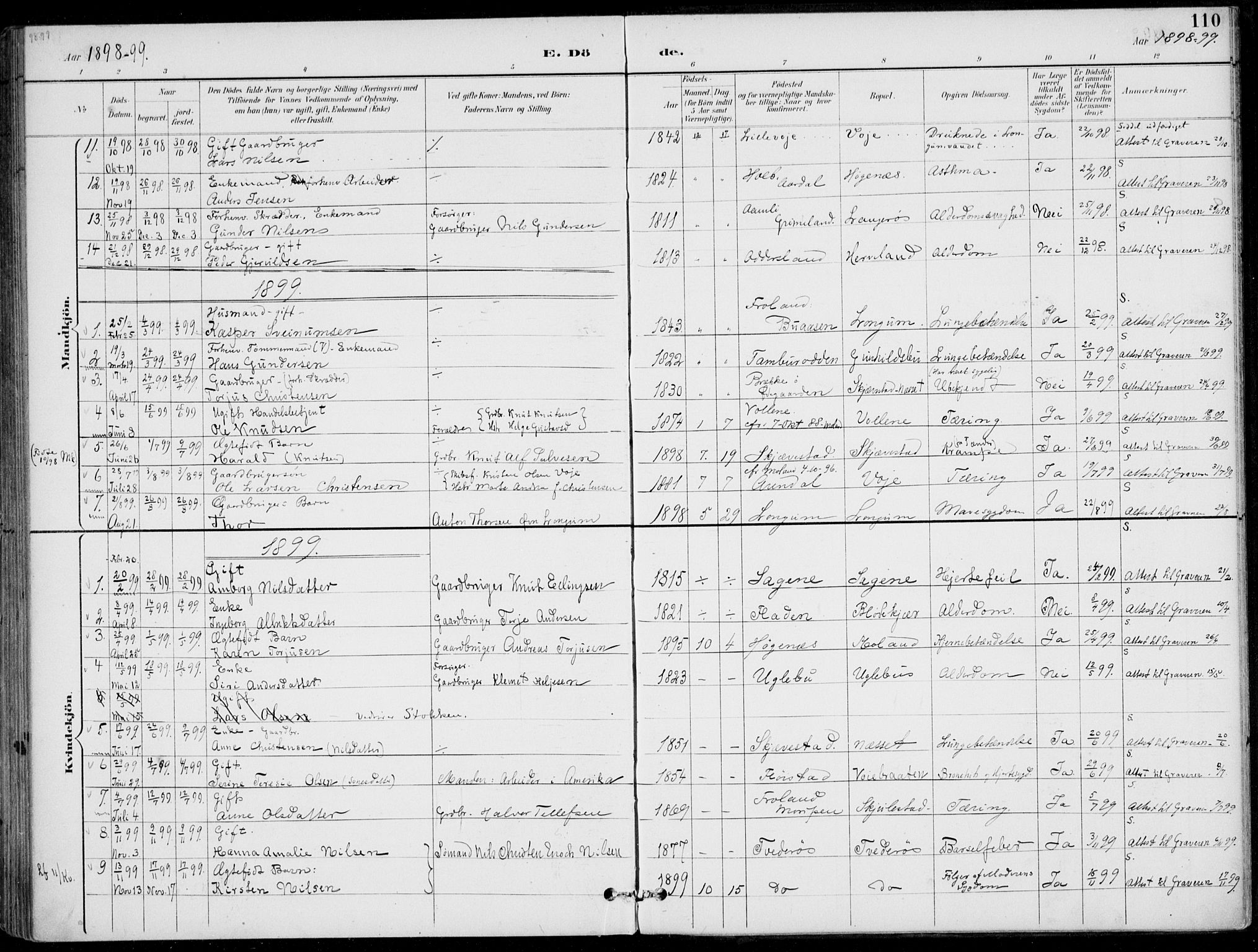 Austre Moland sokneprestkontor, SAK/1111-0001/F/Fa/Faa/L0011: Parish register (official) no. A 11, 1894-1915, p. 110