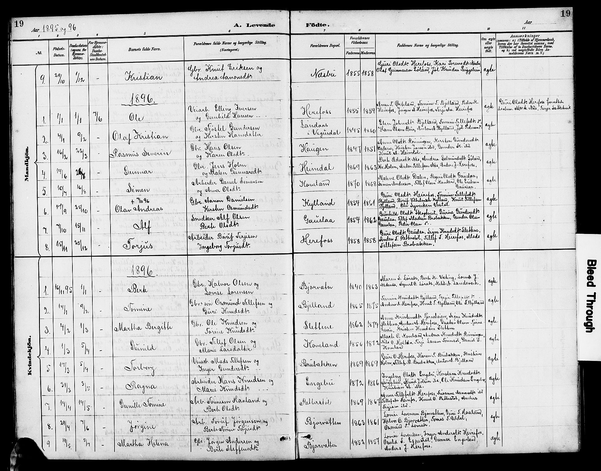 Herefoss sokneprestkontor, AV/SAK-1111-0019/F/Fb/Fba/L0003: Parish register (copy) no. B 3, 1887-1925, p. 19