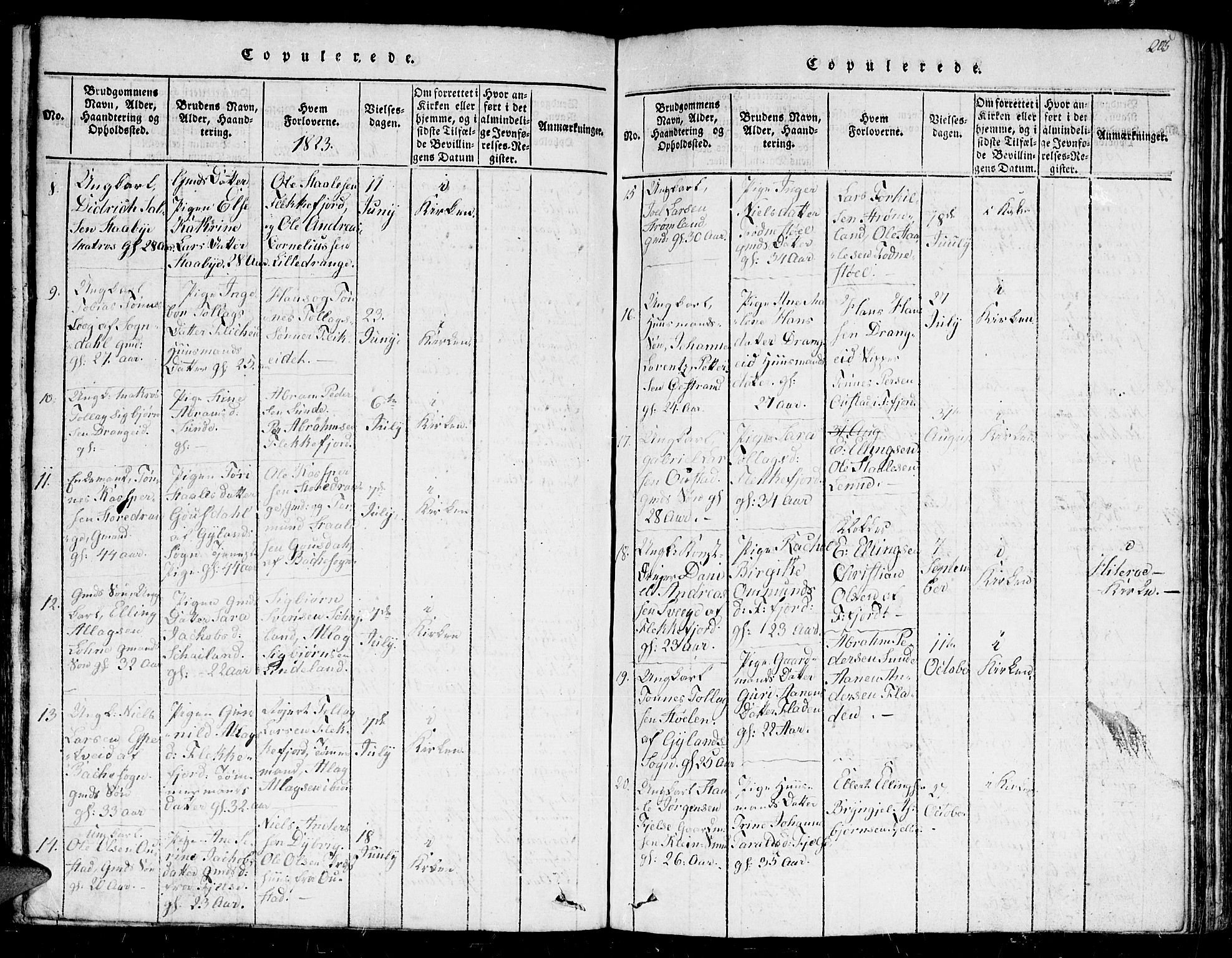 Flekkefjord sokneprestkontor, SAK/1111-0012/F/Fb/Fbc/L0003: Parish register (copy) no. B 3, 1815-1826, p. 205