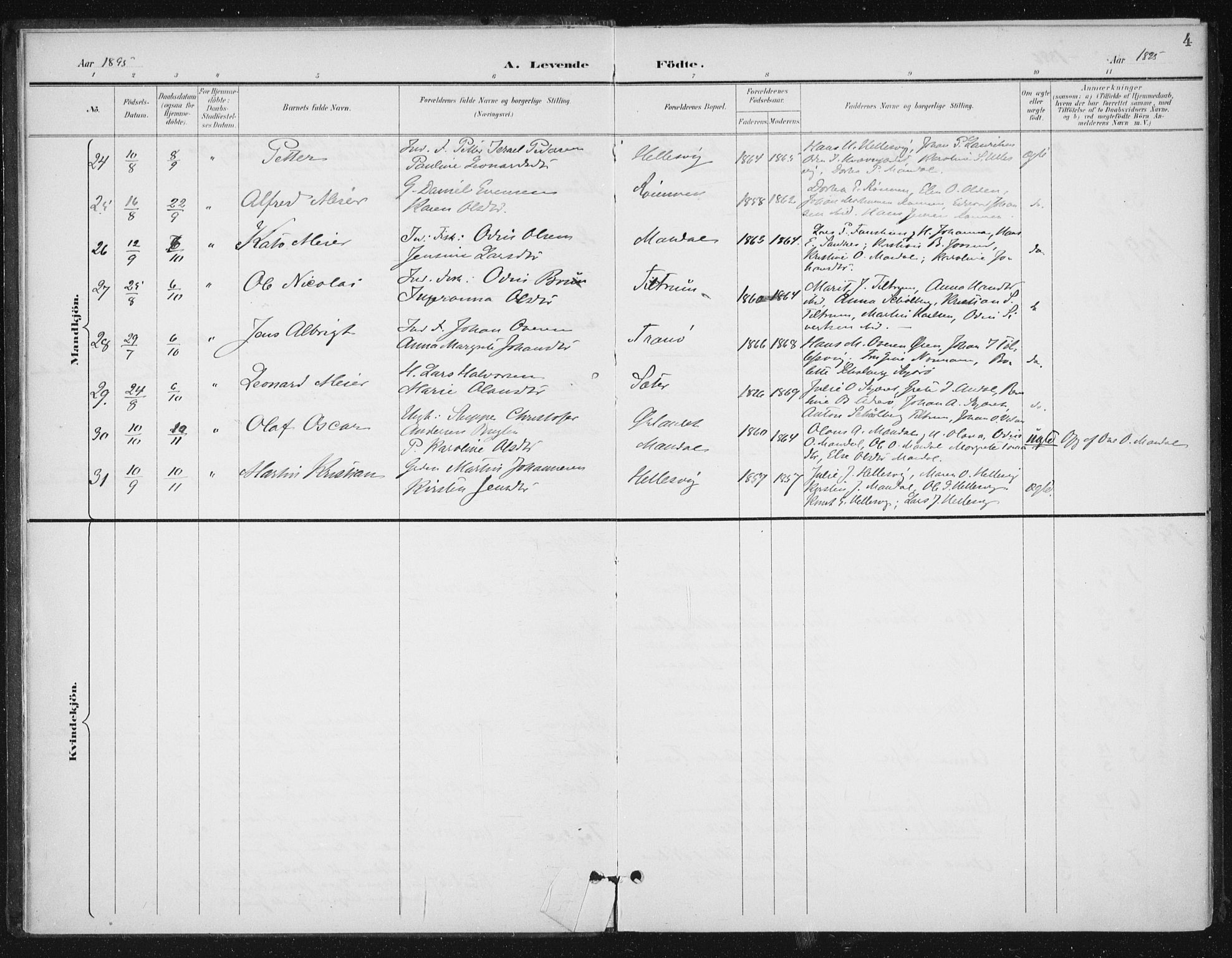 Ministerialprotokoller, klokkerbøker og fødselsregistre - Sør-Trøndelag, AV/SAT-A-1456/654/L0664: Parish register (official) no. 654A02, 1895-1907, p. 4