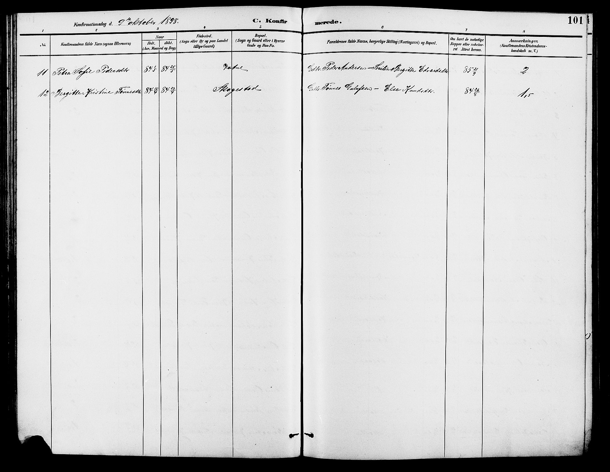 Holum sokneprestkontor, SAK/1111-0022/F/Fb/Fba/L0005: Parish register (copy) no. B 5, 1891-1909, p. 101