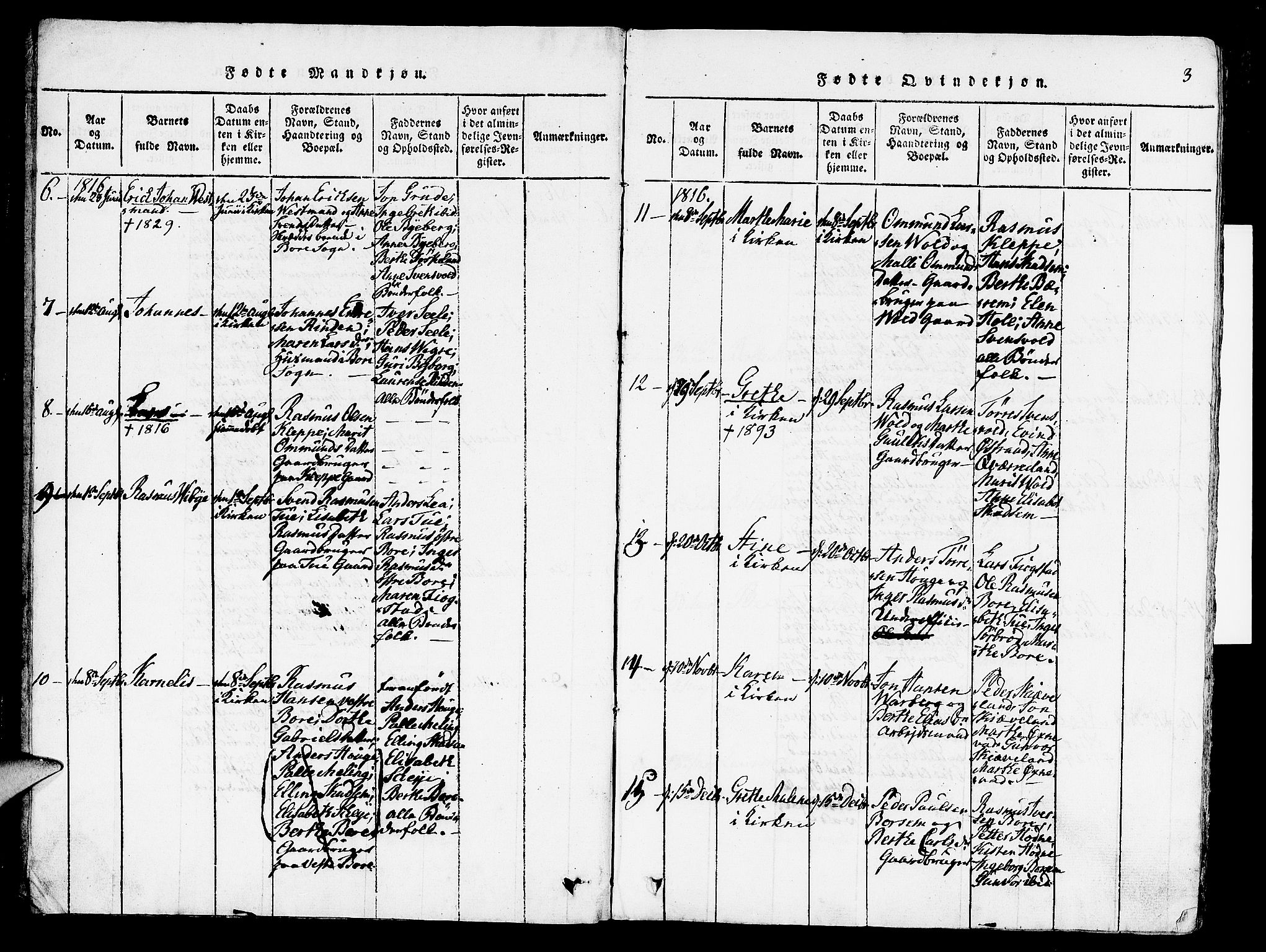 Klepp sokneprestkontor, AV/SAST-A-101803/001/3/30BA/L0002: Parish register (official) no. A 2, 1816-1833, p. 3