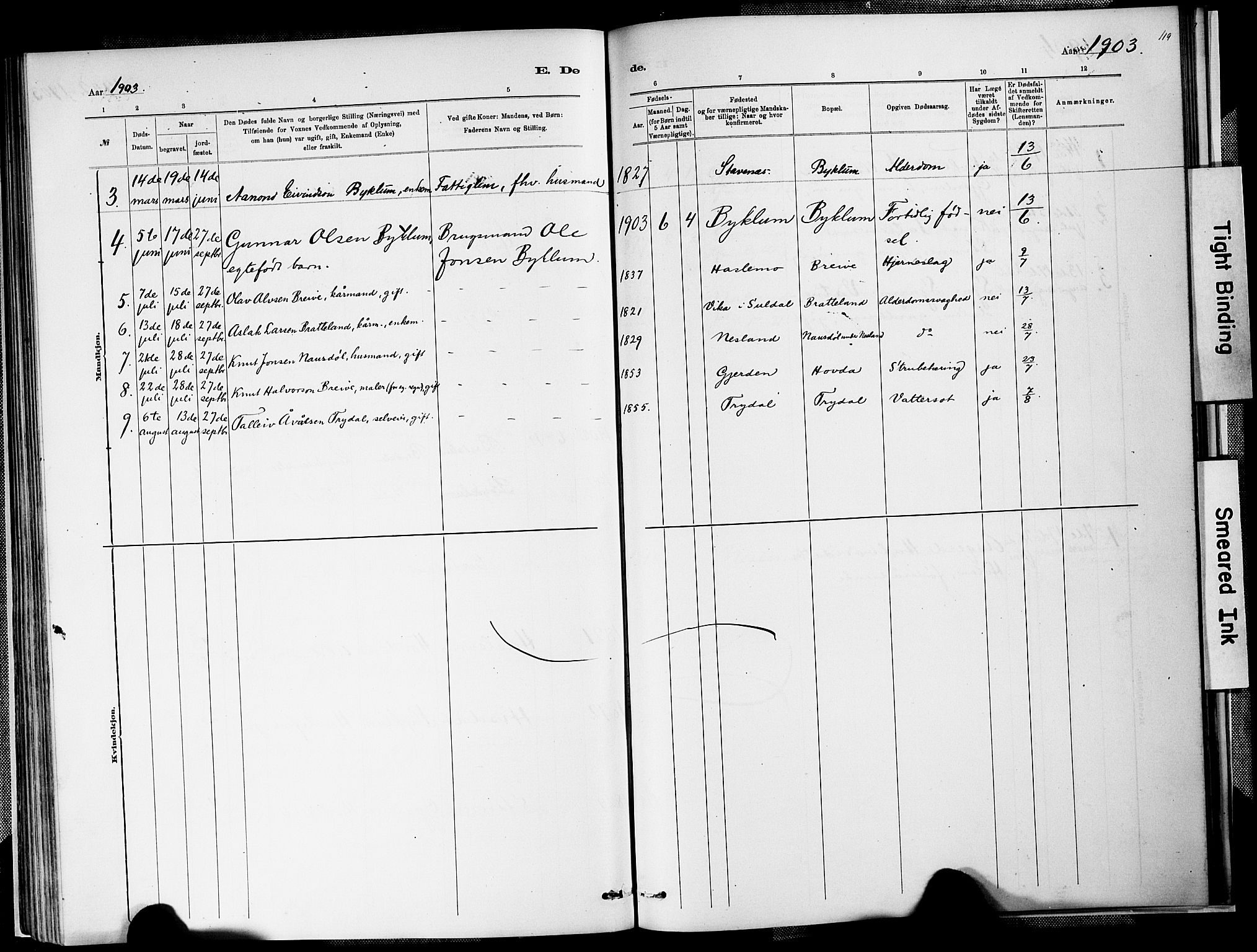 Valle sokneprestkontor, SAK/1111-0044/F/Fa/Faa/L0001: Parish register (official) no. A 1, 1882-1907, p. 119