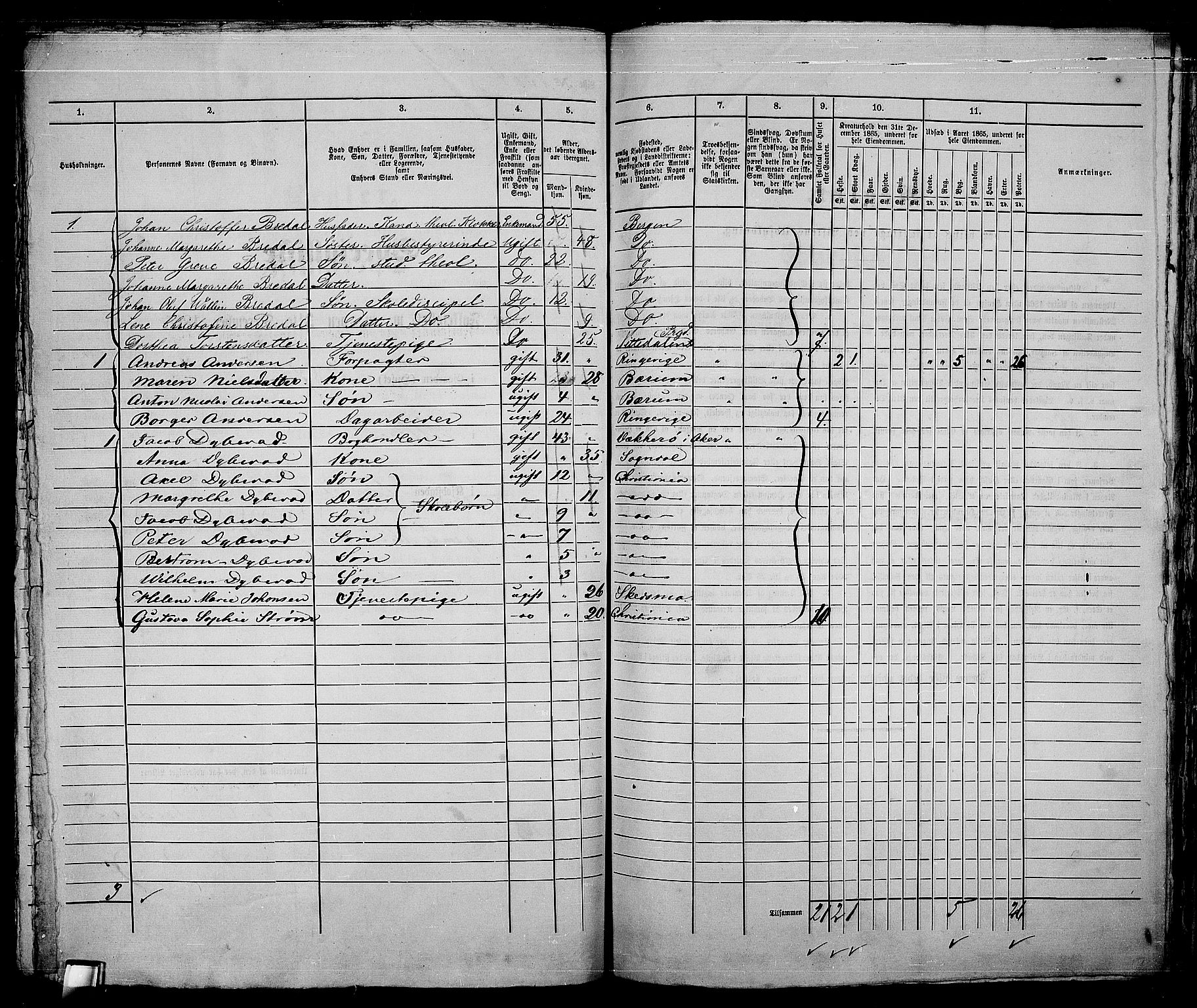 RA, 1865 census for Kristiania, 1865, p. 5260