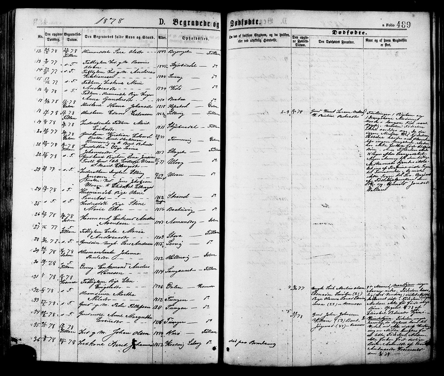 Ministerialprotokoller, klokkerbøker og fødselsregistre - Sør-Trøndelag, SAT/A-1456/634/L0532: Parish register (official) no. 634A08, 1871-1881, p. 489
