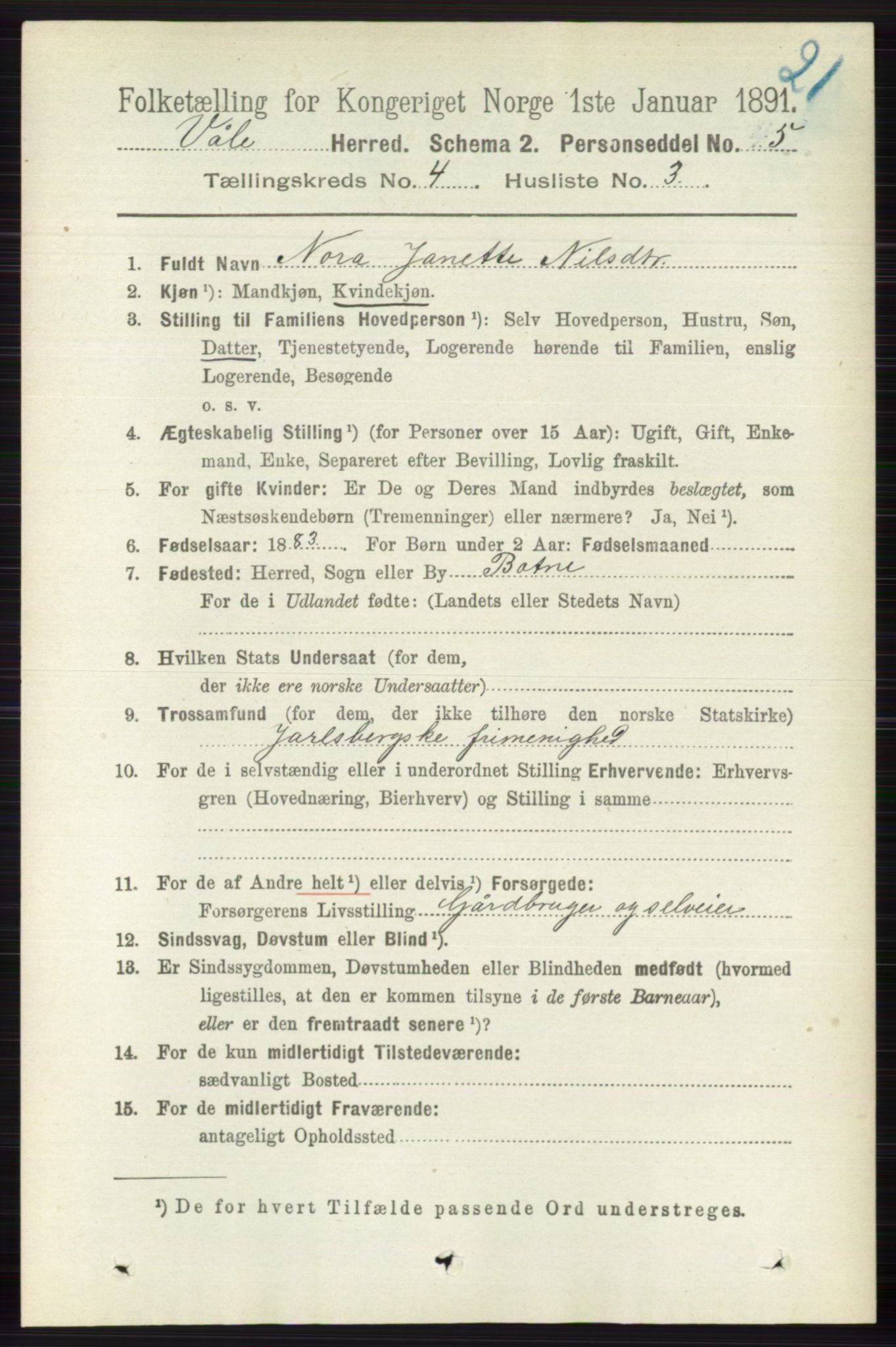 RA, 1891 census for 0716 Våle, 1891, p. 1002
