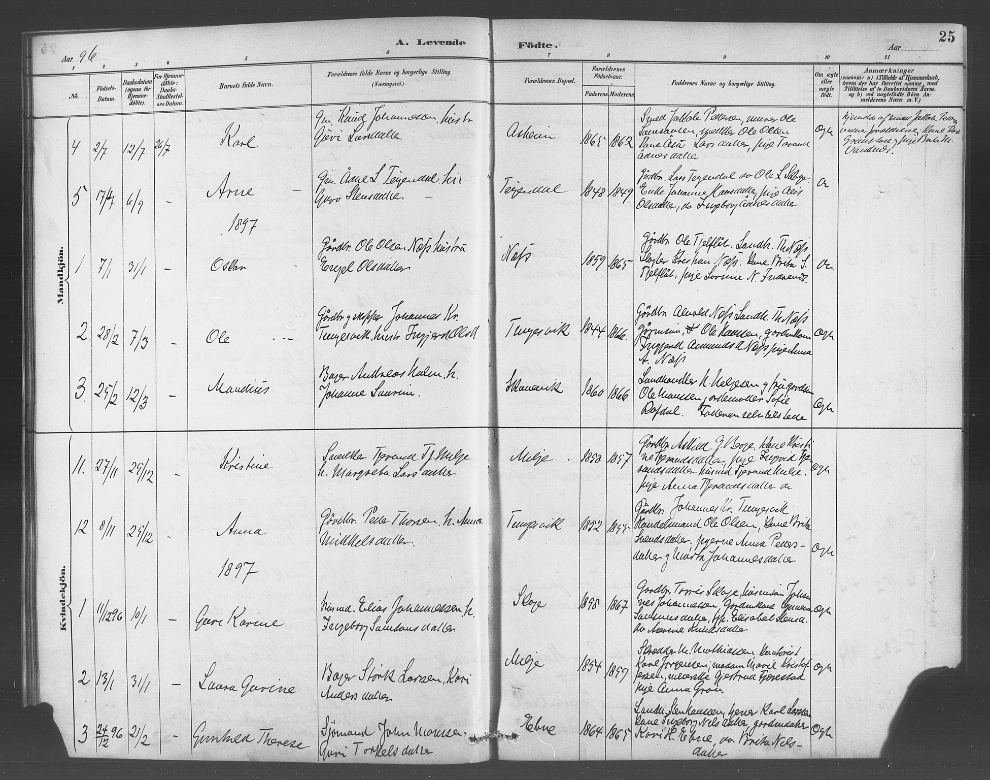 Skånevik sokneprestembete, AV/SAB-A-77801/H/Hab: Parish register (copy) no. A 2, 1888-1924, p. 25