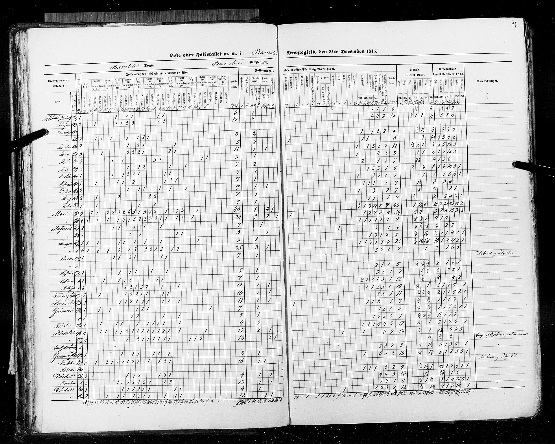 RA, Census 1845, vol. 5: Bratsberg amt og Nedenes og Råbyggelaget amt, 1845, p. 49