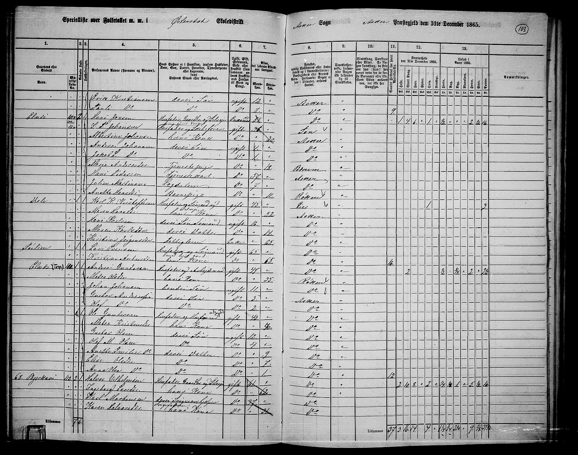 RA, 1865 census for Asker, 1865, p. 99