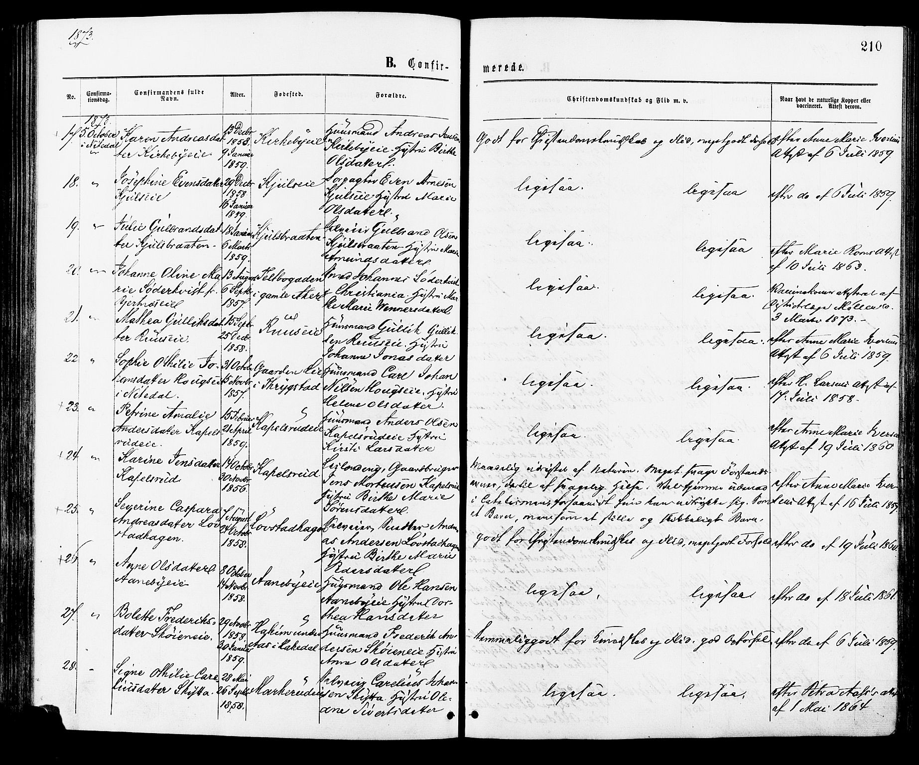 Nittedal prestekontor Kirkebøker, AV/SAO-A-10365a/F/Fa/L0006: Parish register (official) no. I 6, 1863-1878, p. 210