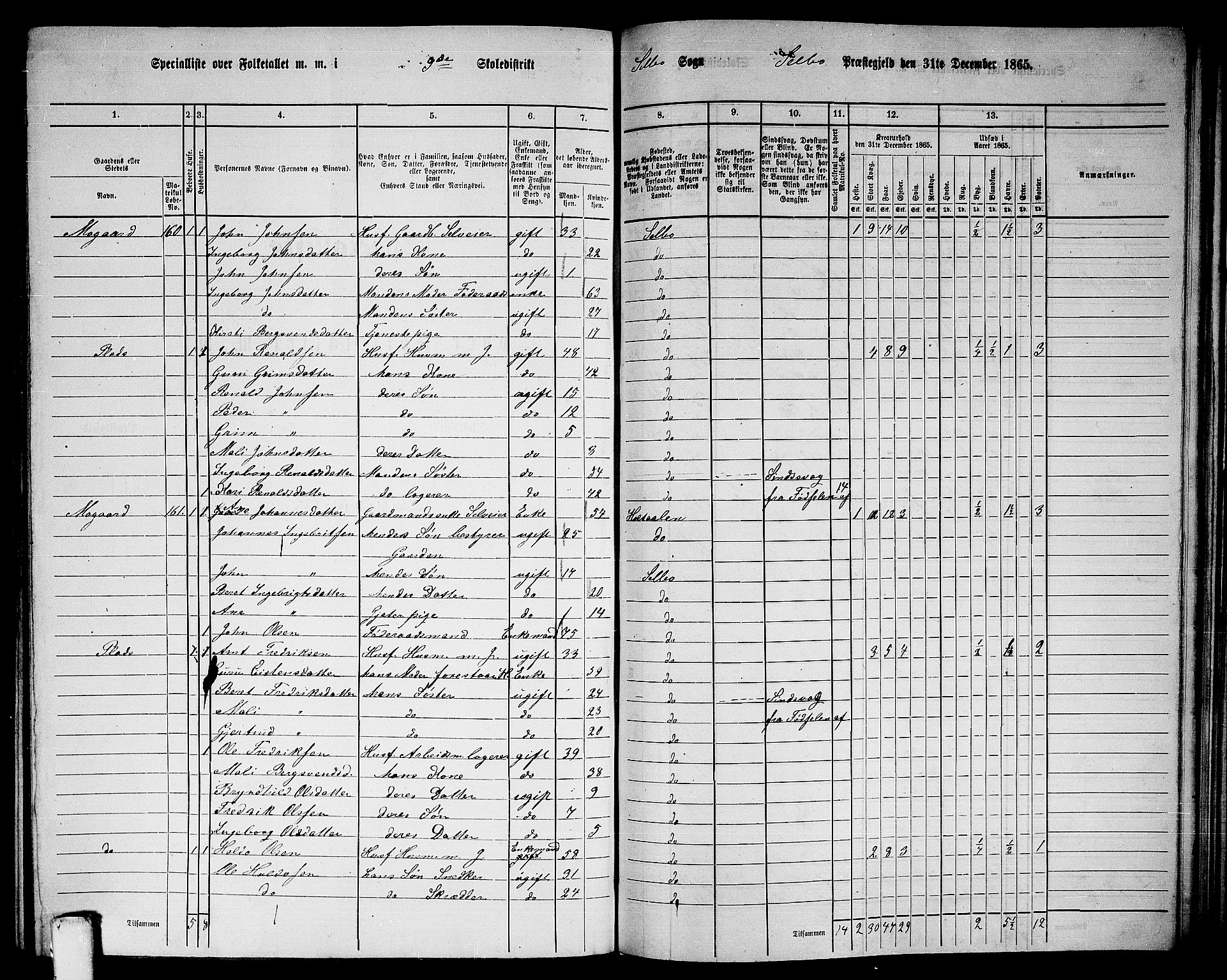 RA, 1865 census for Selbu, 1865, p. 170