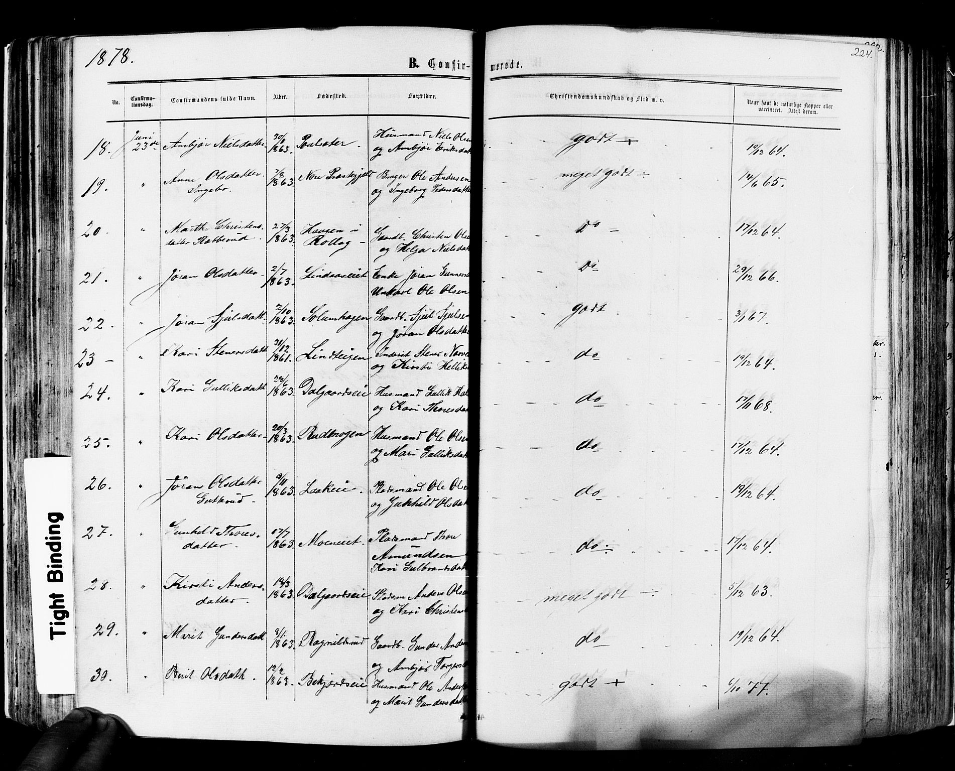 Flesberg kirkebøker, SAKO/A-18/F/Fa/L0007: Parish register (official) no. I 7, 1861-1878, p. 224