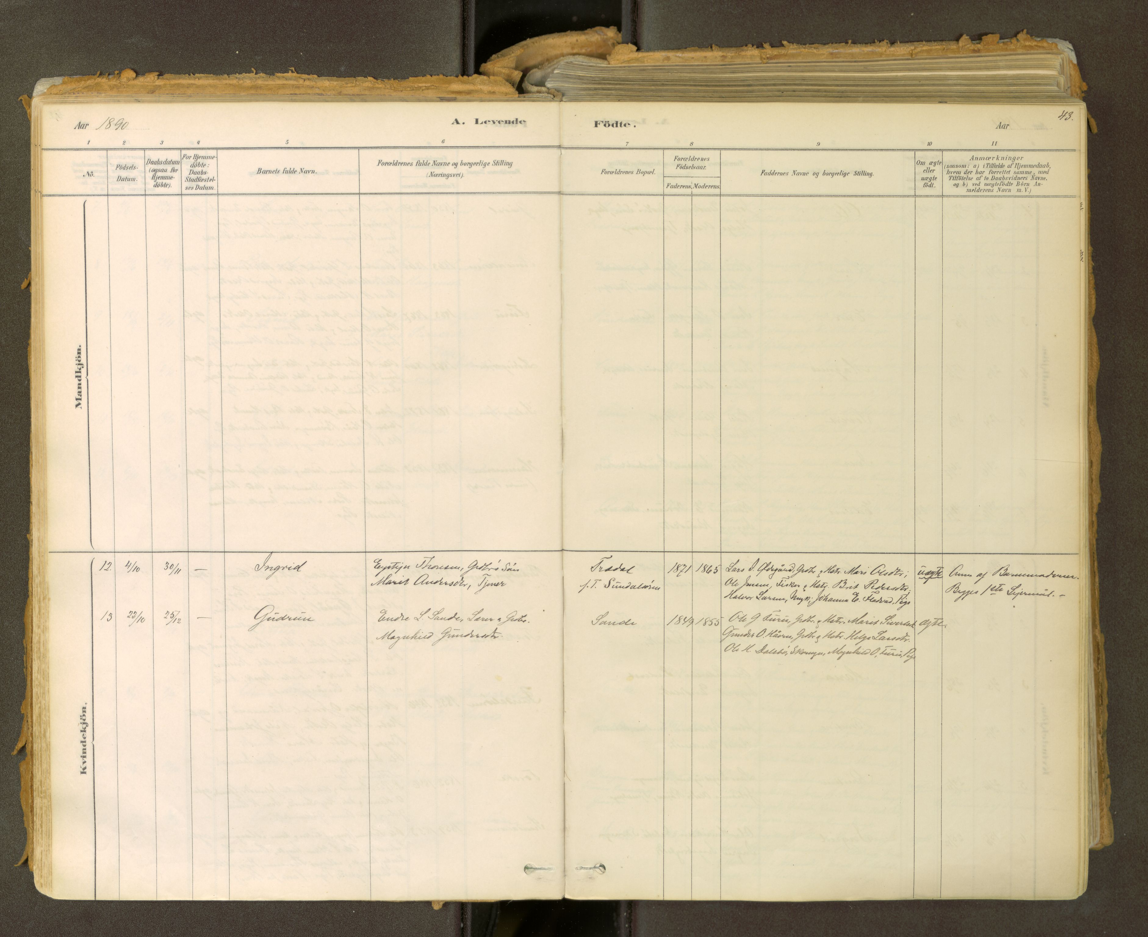 Sunndal sokneprestkontor, SAT/A-1085/1/I/I1/I1a: Parish register (official) no. 2, 1877-1914, p. 43