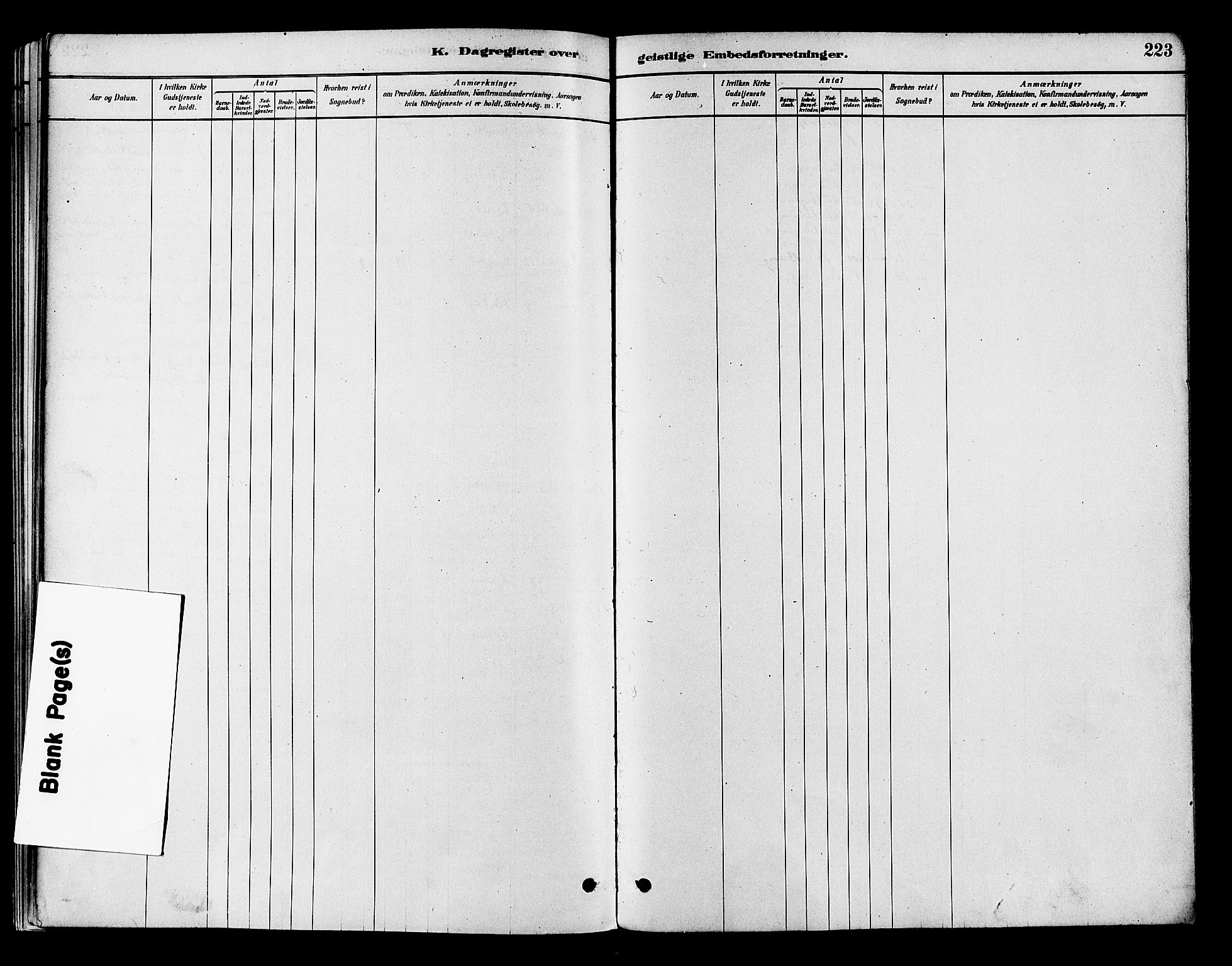 Flesberg kirkebøker, AV/SAKO-A-18/F/Fb/L0001: Parish register (official) no. II 1, 1879-1907, p. 223