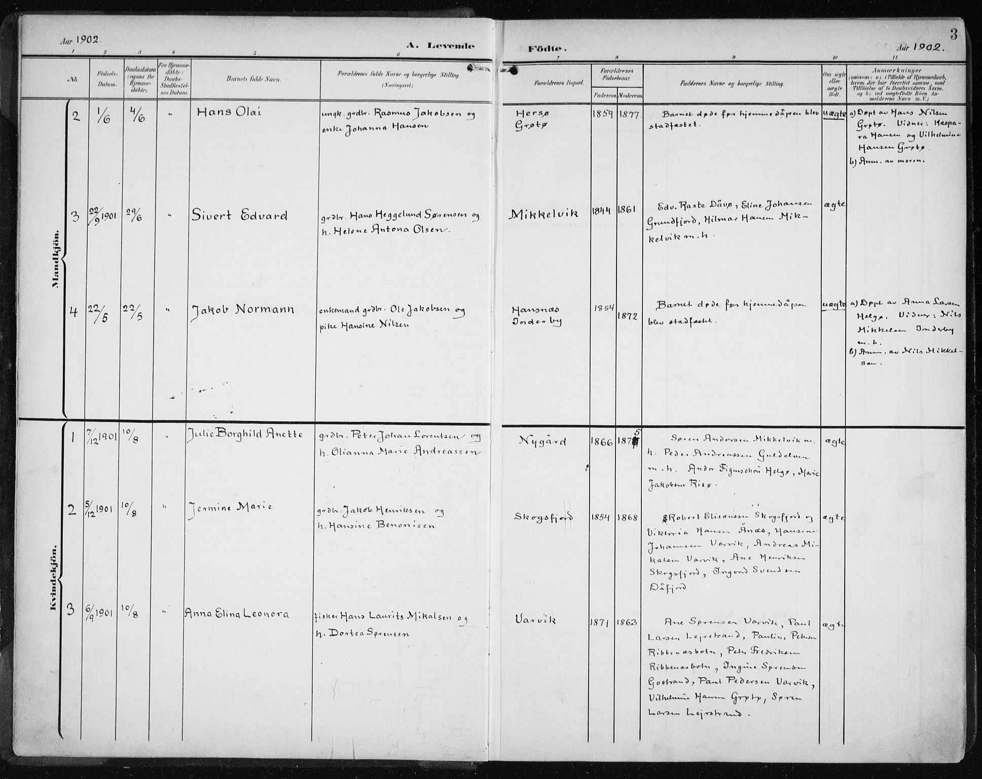 Karlsøy sokneprestembete, AV/SATØ-S-1299/H/Ha/Haa/L0013kirke: Parish register (official) no. 13, 1902-1916, p. 3