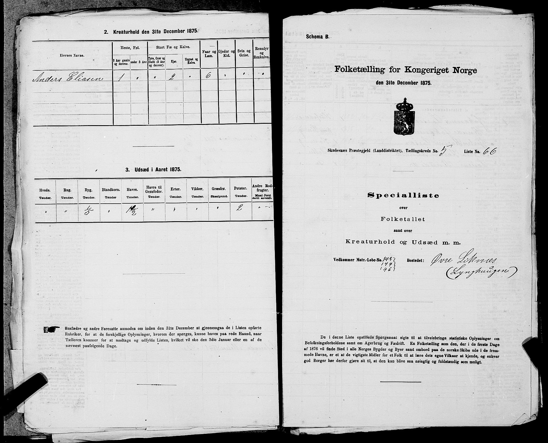 SAST, 1875 census for 1150L Skudenes/Falnes, Åkra og Ferkingstad, 1875, p. 703