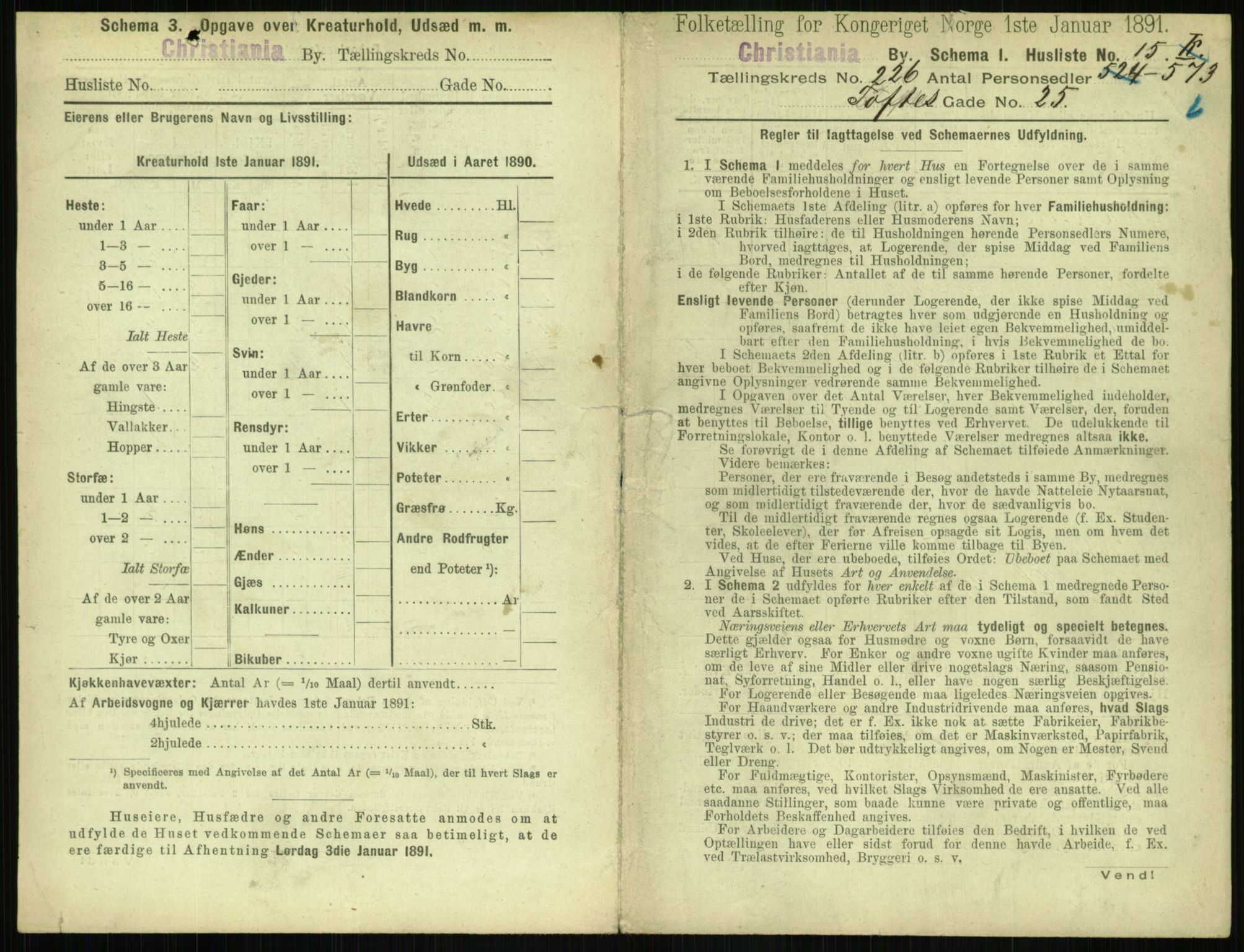 RA, 1891 census for 0301 Kristiania, 1891, p. 137417