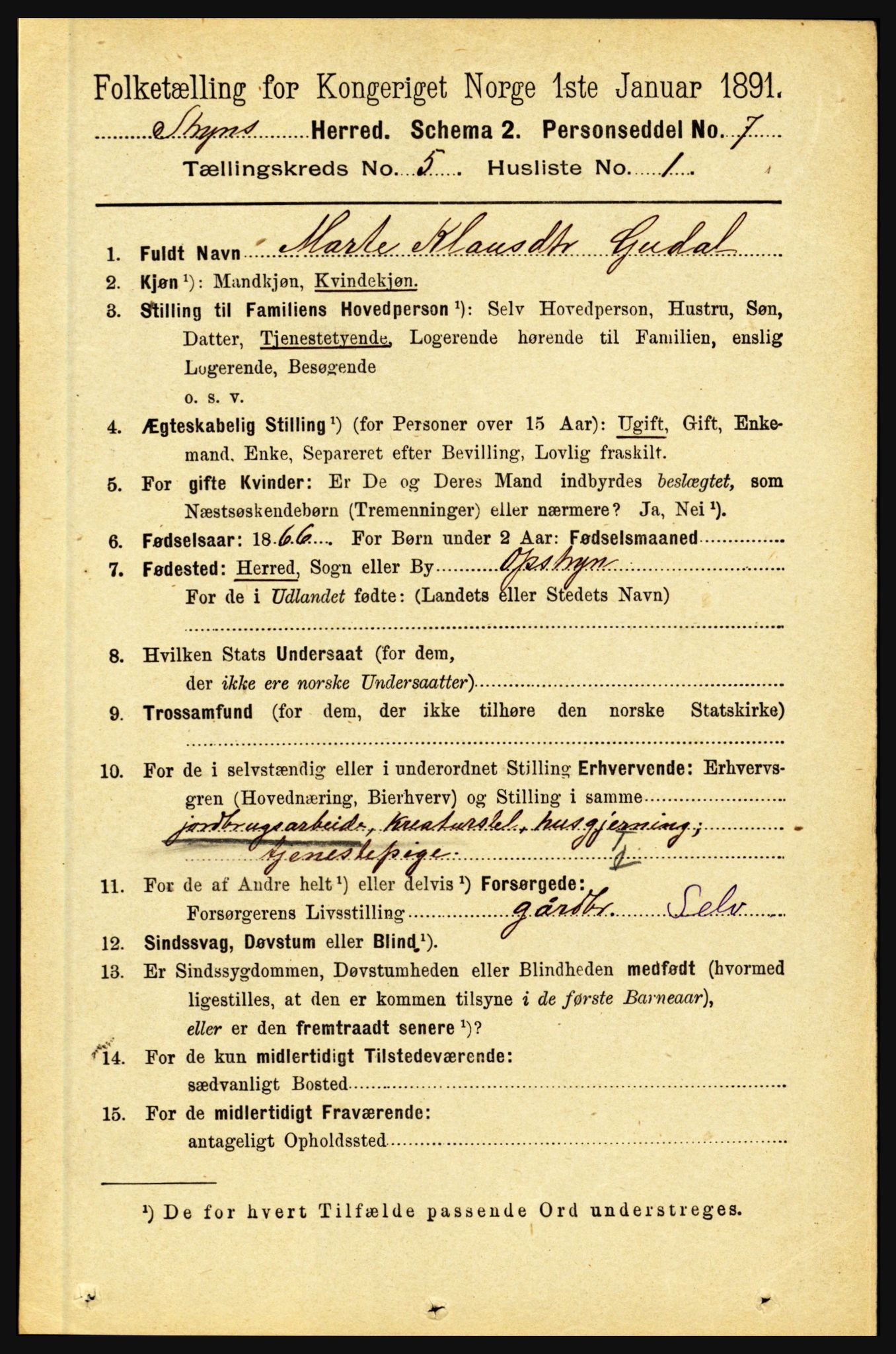 RA, 1891 census for 1448 Stryn, 1891, p. 2017