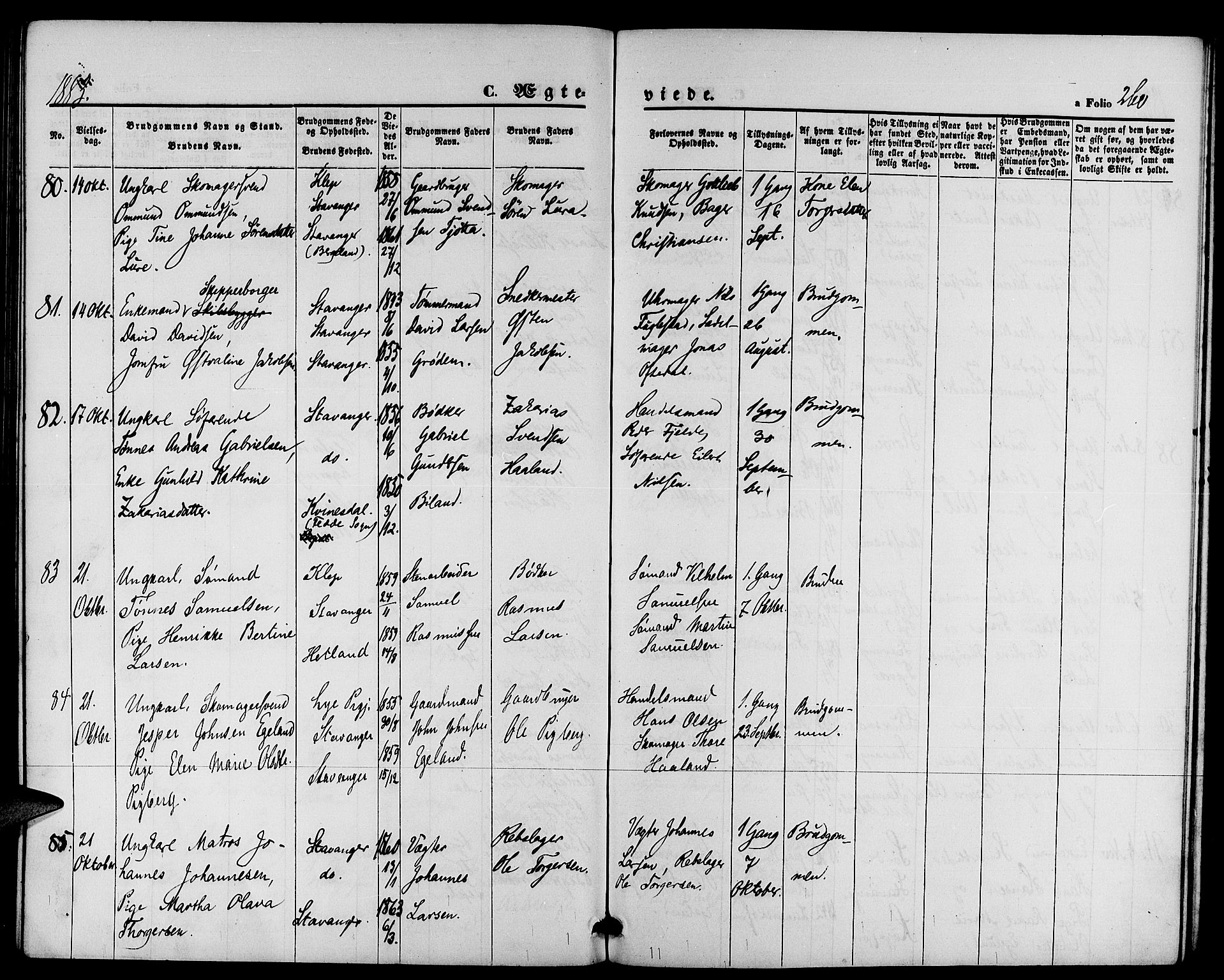 St. Petri sokneprestkontor, AV/SAST-A-101813/001/30/30BB/L0002: Parish register (copy) no. B 2, 1865-1885, p. 260