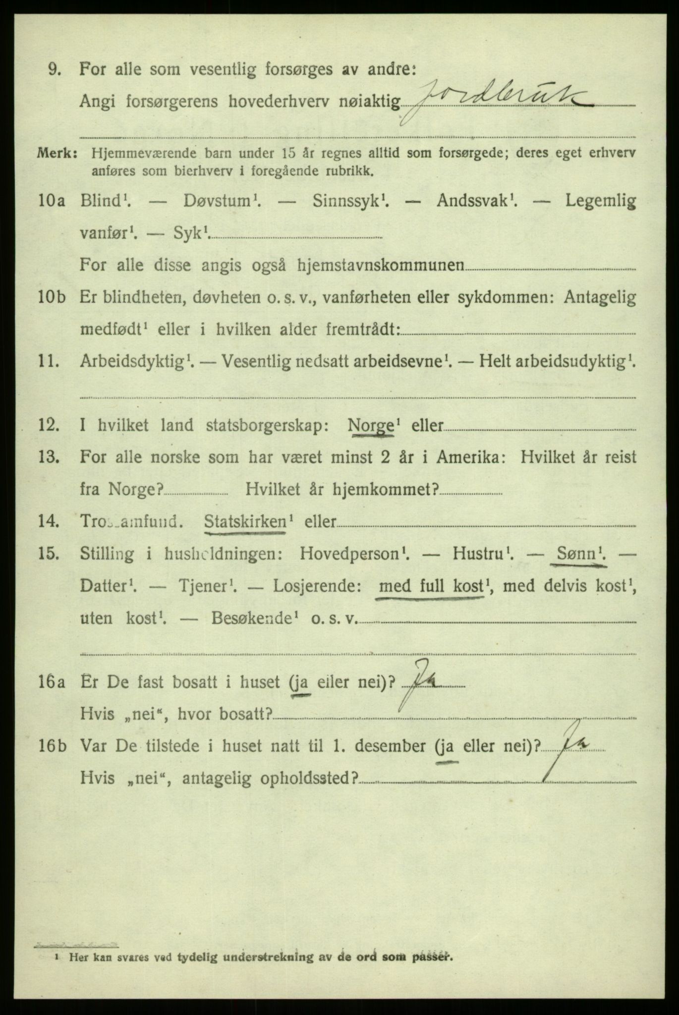 SAB, 1920 census for Hafslo, 1920, p. 4881