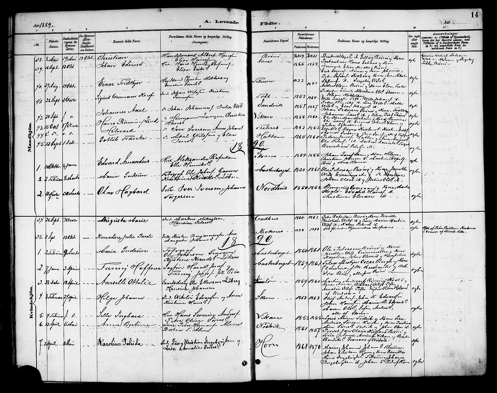 Ministerialprotokoller, klokkerbøker og fødselsregistre - Nordland, SAT/A-1459/813/L0213: Parish register (copy) no. 813C05, 1887-1903, p. 14