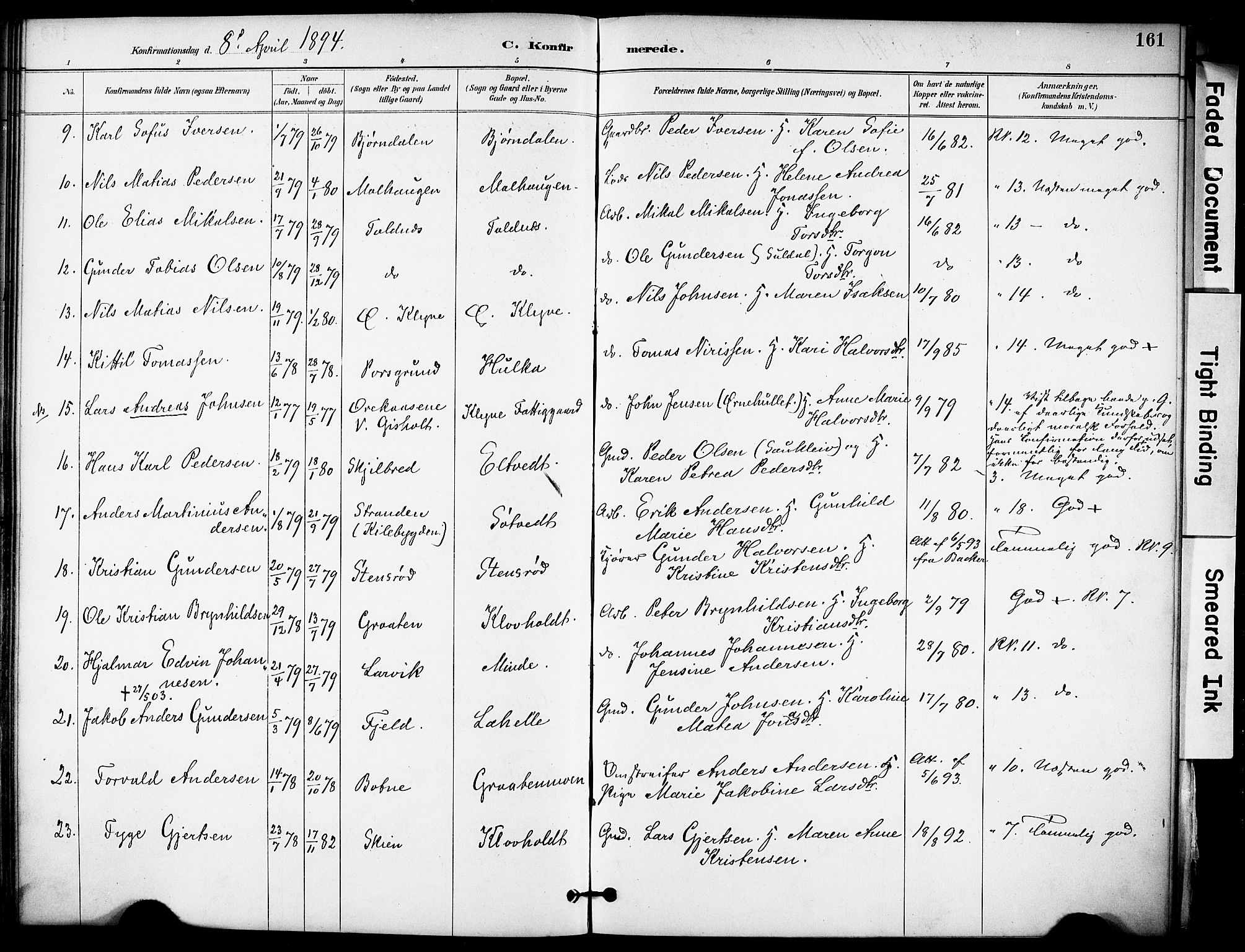 Solum kirkebøker, SAKO/A-306/F/Fa/L0010: Parish register (official) no. I 10, 1888-1898, p. 161