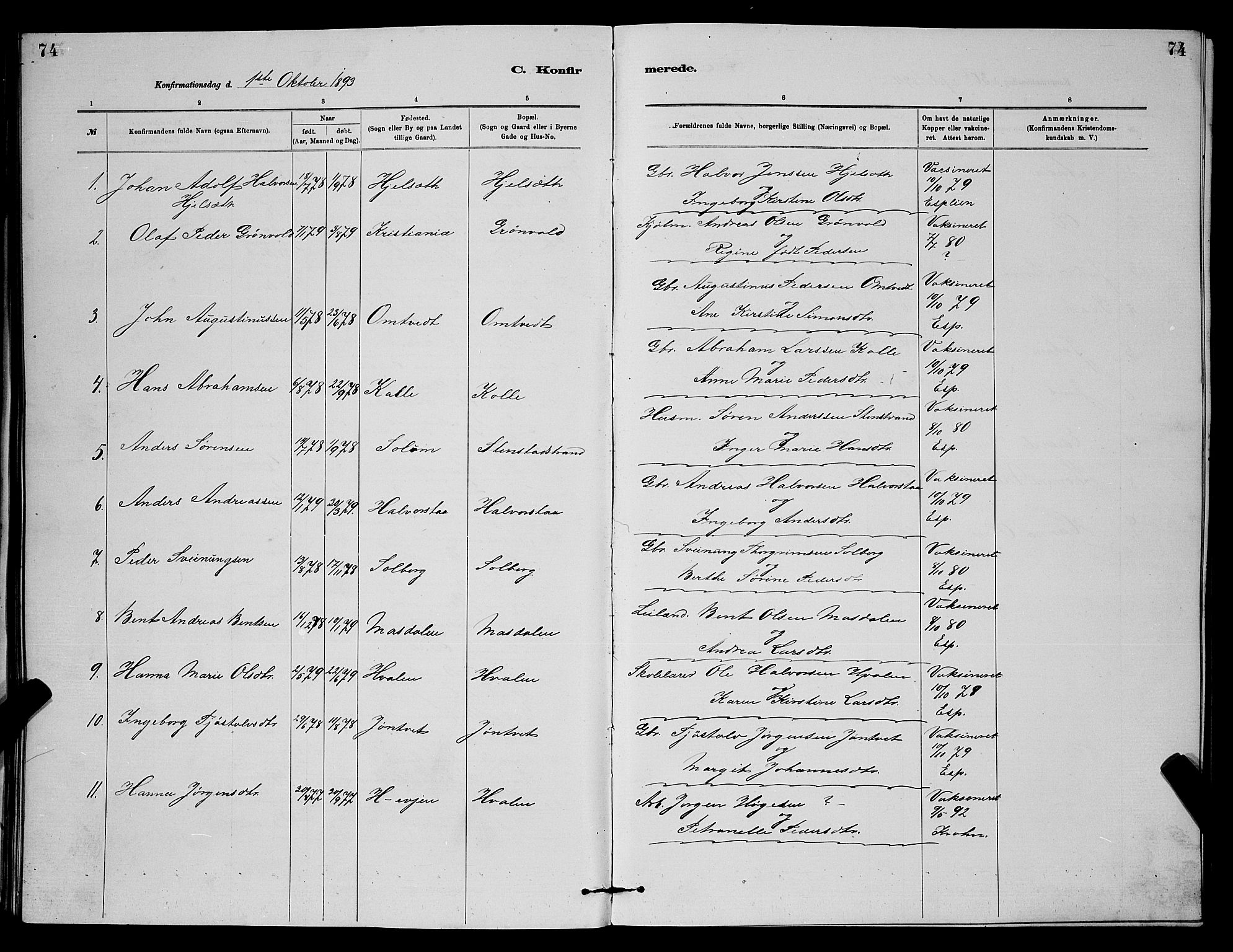 Holla kirkebøker, SAKO/A-272/G/Gb/L0001: Parish register (copy) no. II 1, 1882-1897, p. 74