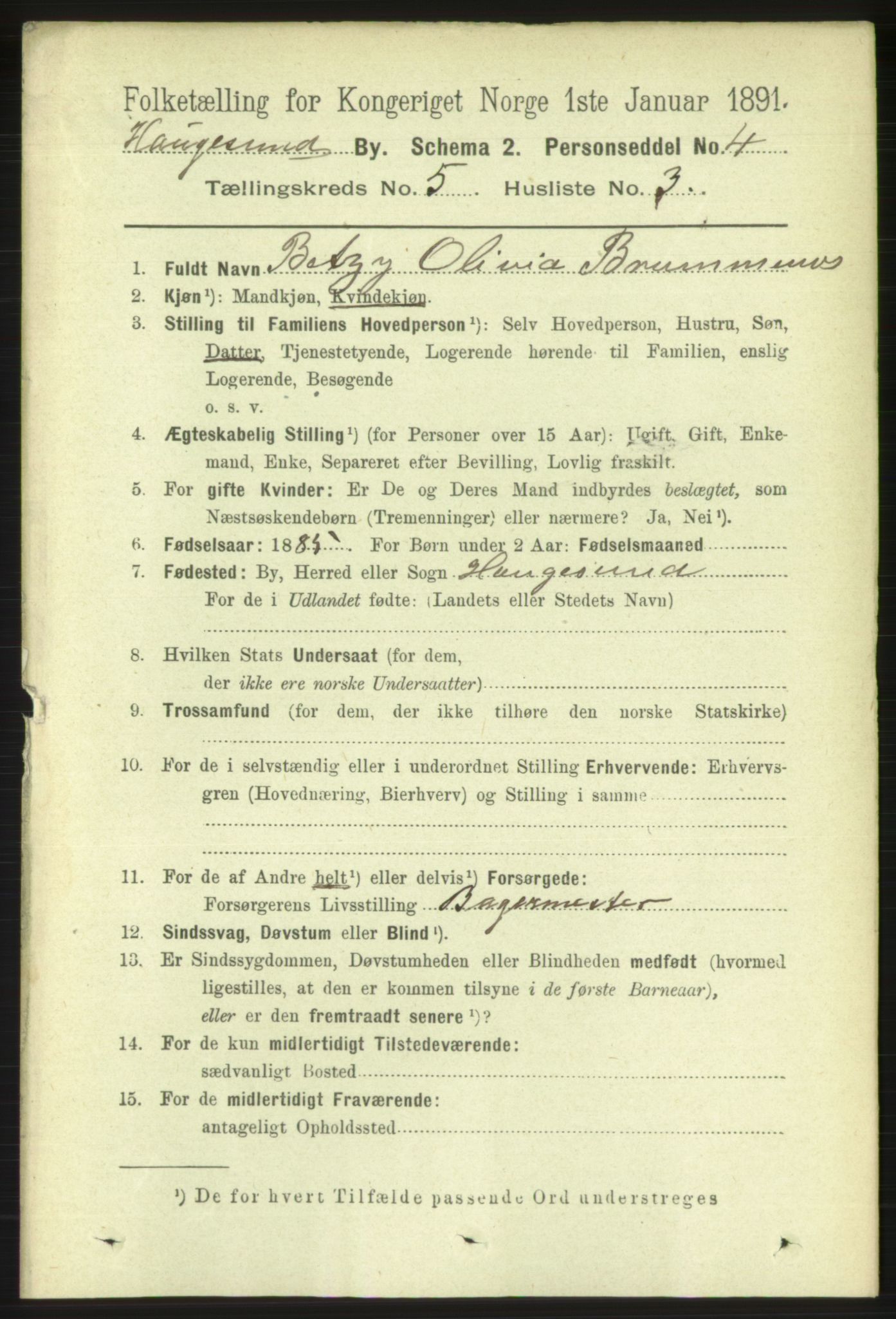 RA, 1891 census for 1106 Haugesund, 1891, p. 1956