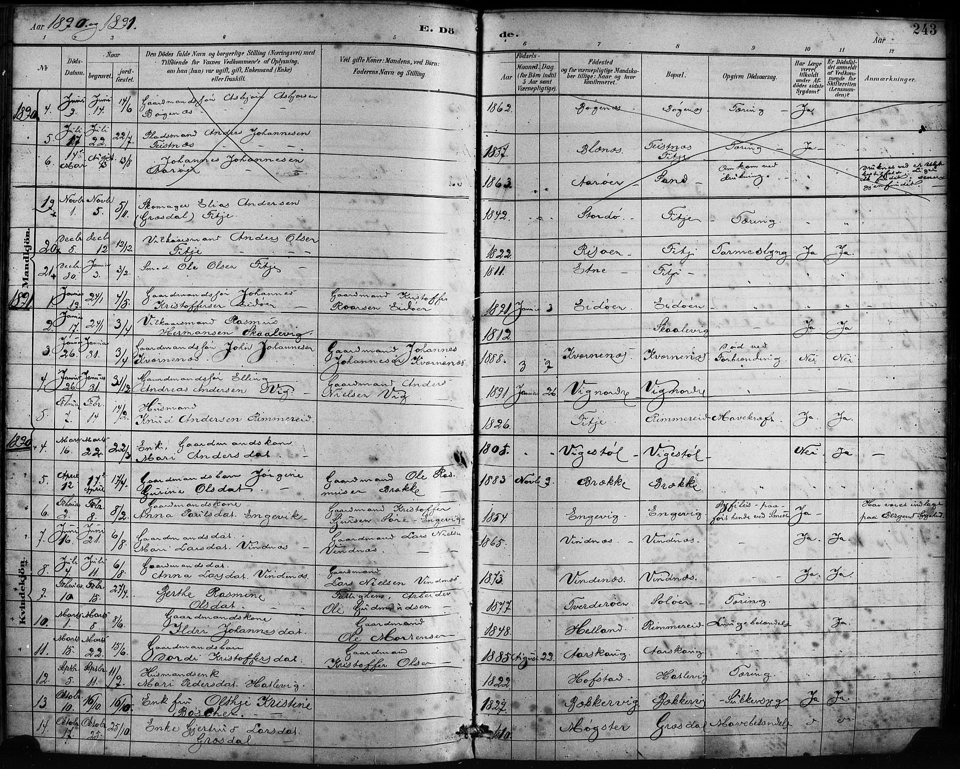 Fitjar sokneprestembete, SAB/A-99926: Parish register (official) no. A 2, 1882-1899, p. 243