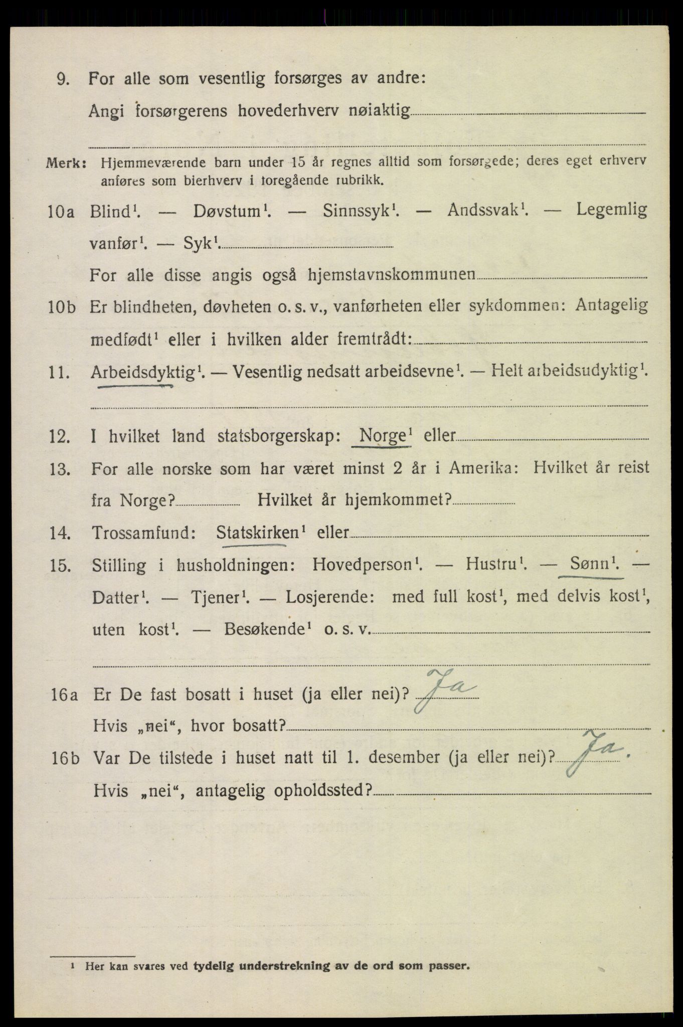 SAH, 1920 census for Jevnaker, 1920, p. 9150