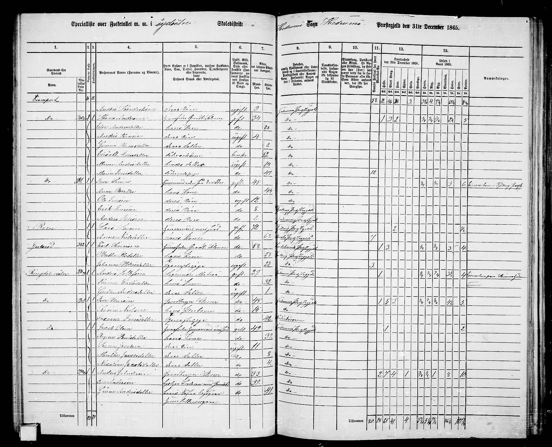 RA, 1865 census for Hedrum, 1865, p. 53