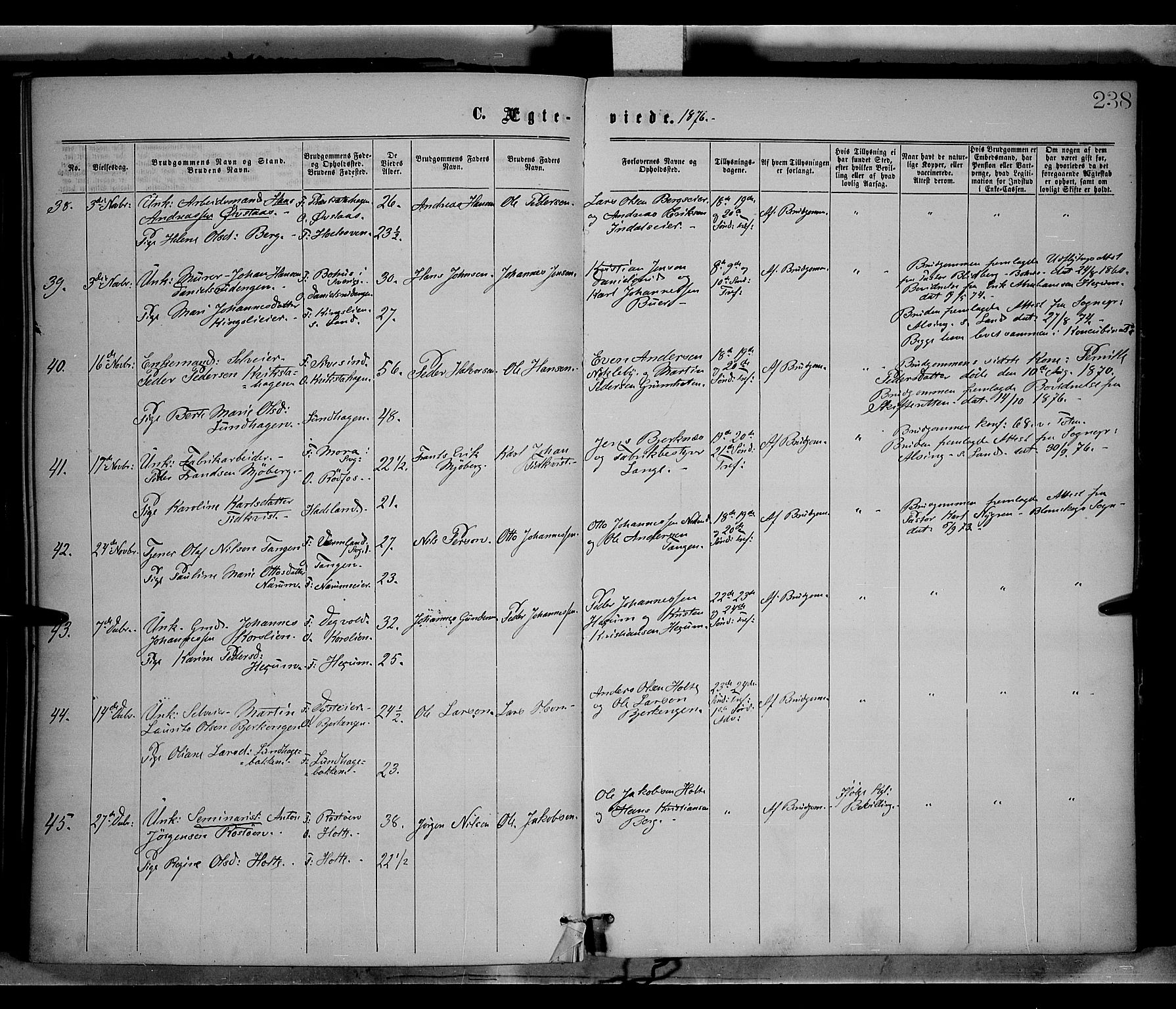 Vestre Toten prestekontor, AV/SAH-PREST-108/H/Ha/Haa/L0008: Parish register (official) no. 8, 1870-1877, p. 238