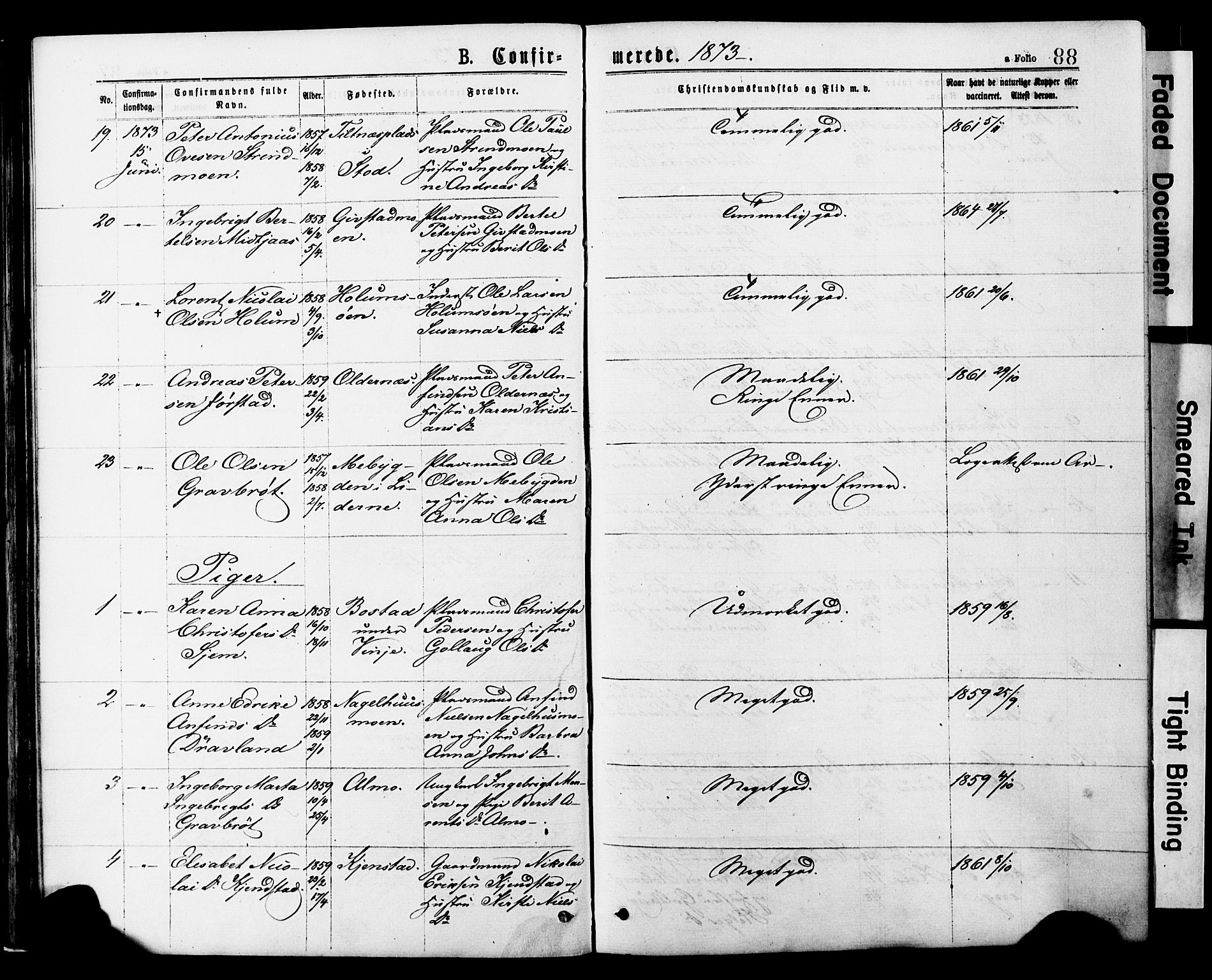 Ministerialprotokoller, klokkerbøker og fødselsregistre - Nord-Trøndelag, AV/SAT-A-1458/749/L0473: Parish register (official) no. 749A07, 1873-1887, p. 88