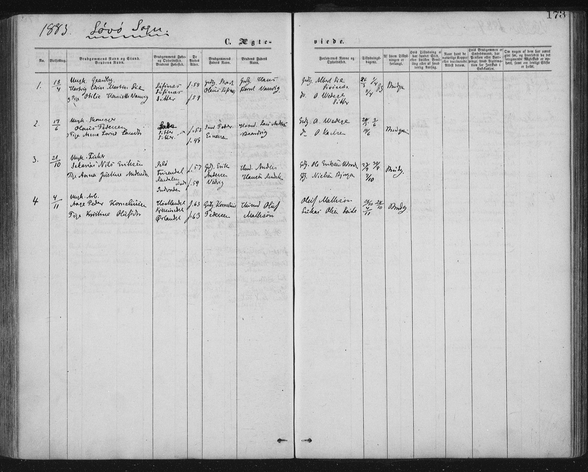 Ministerialprotokoller, klokkerbøker og fødselsregistre - Nord-Trøndelag, AV/SAT-A-1458/771/L0596: Parish register (official) no. 771A03, 1870-1884, p. 173