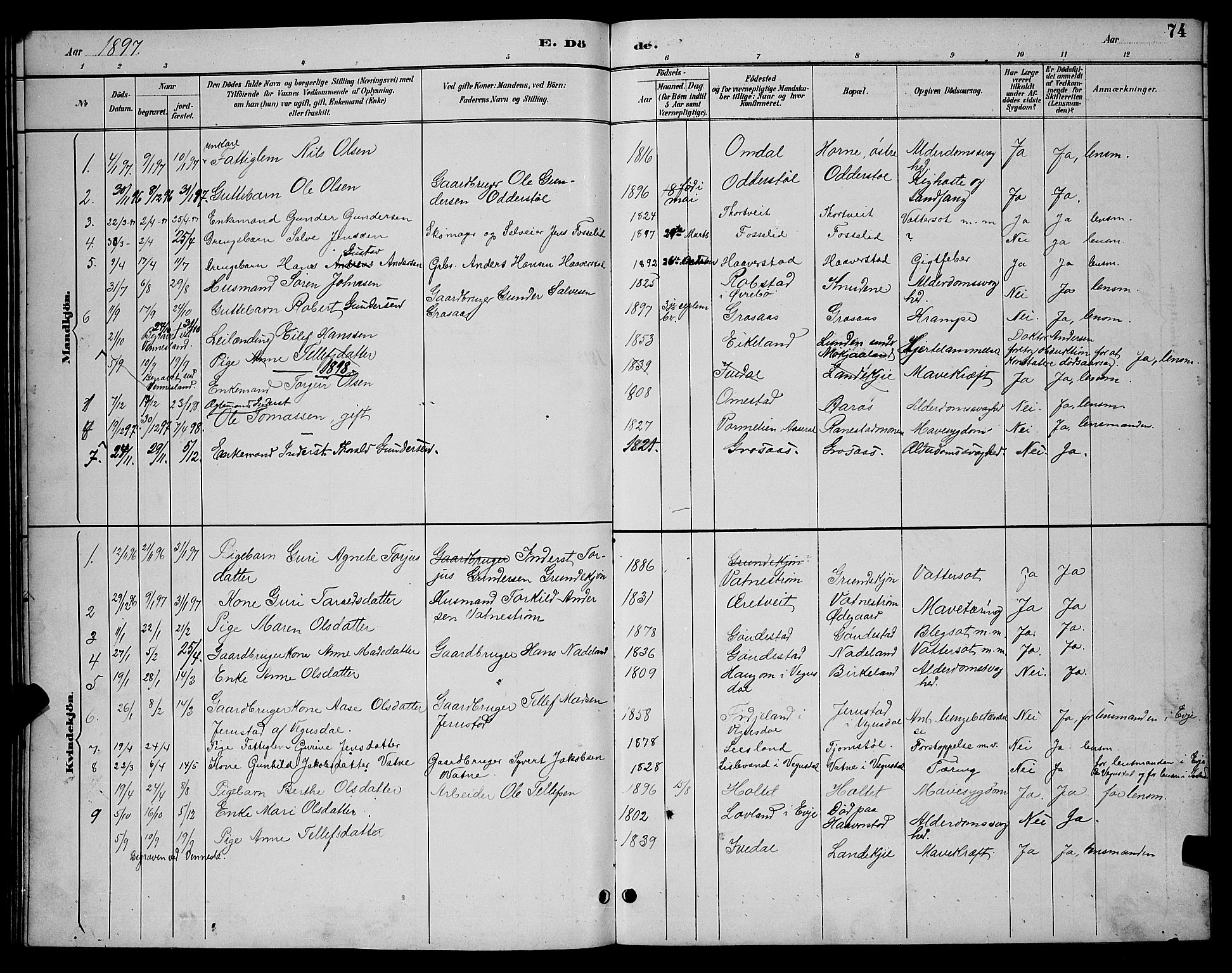 Evje sokneprestkontor, SAK/1111-0008/F/Fb/Fbc/L0004: Parish register (copy) no. B 4, 1890-1900, p. 74