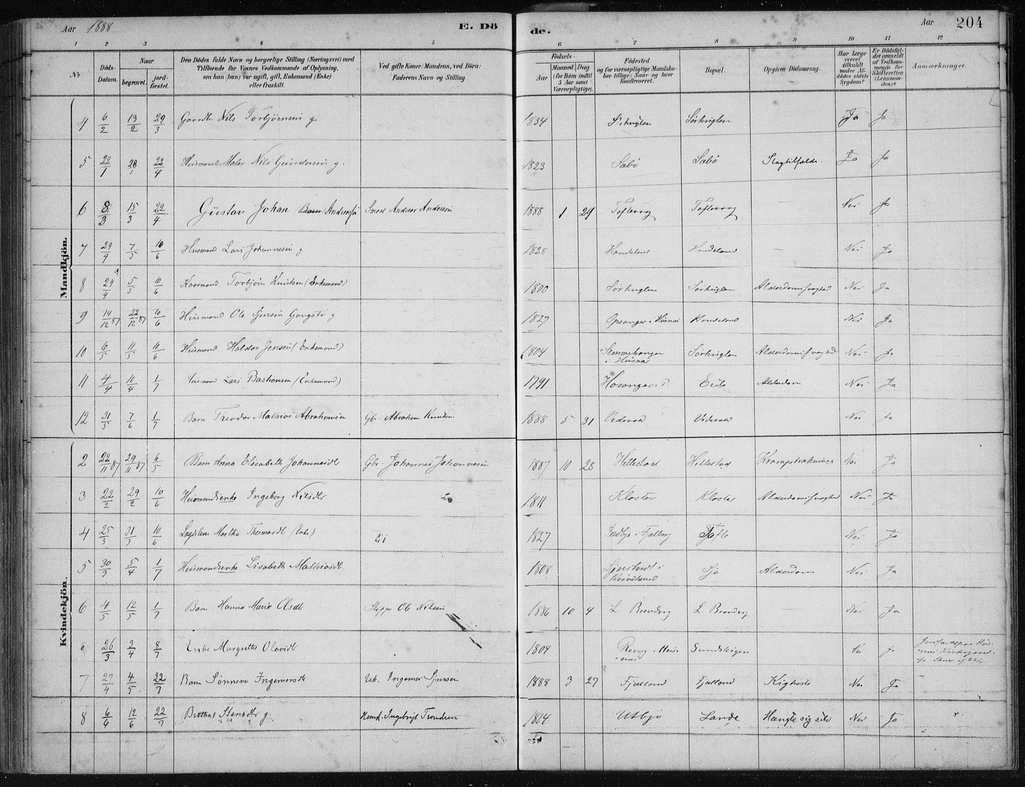 Fjelberg sokneprestembete, SAB/A-75201/H/Haa: Parish register (official) no. C  1, 1879-1918, p. 204